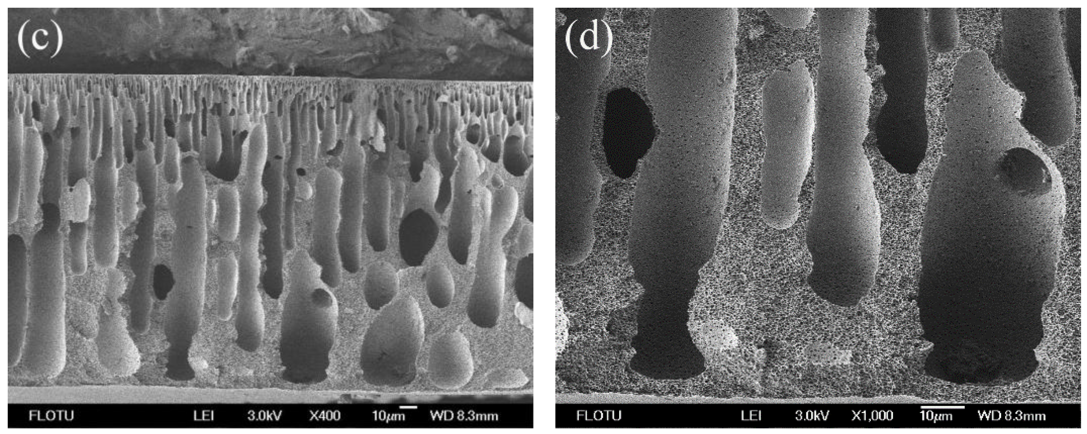 Membranes 06 00035 g006b