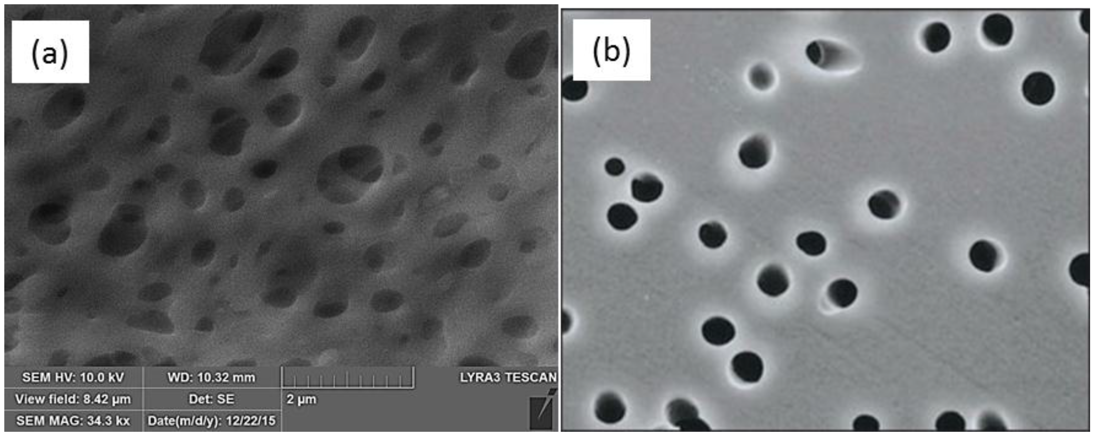 Membranes 06 00040 g001