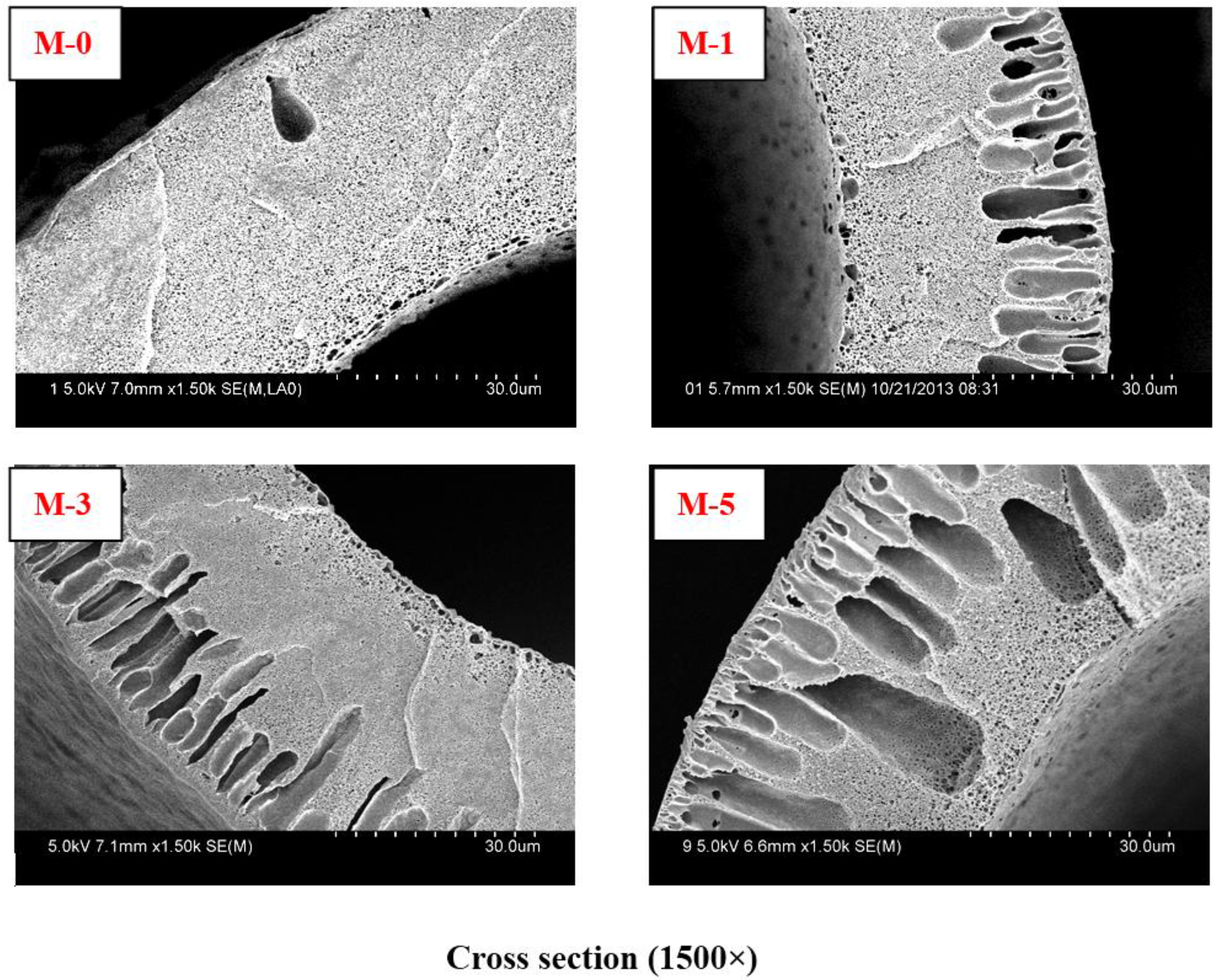 Membranes 06 00045 g003
