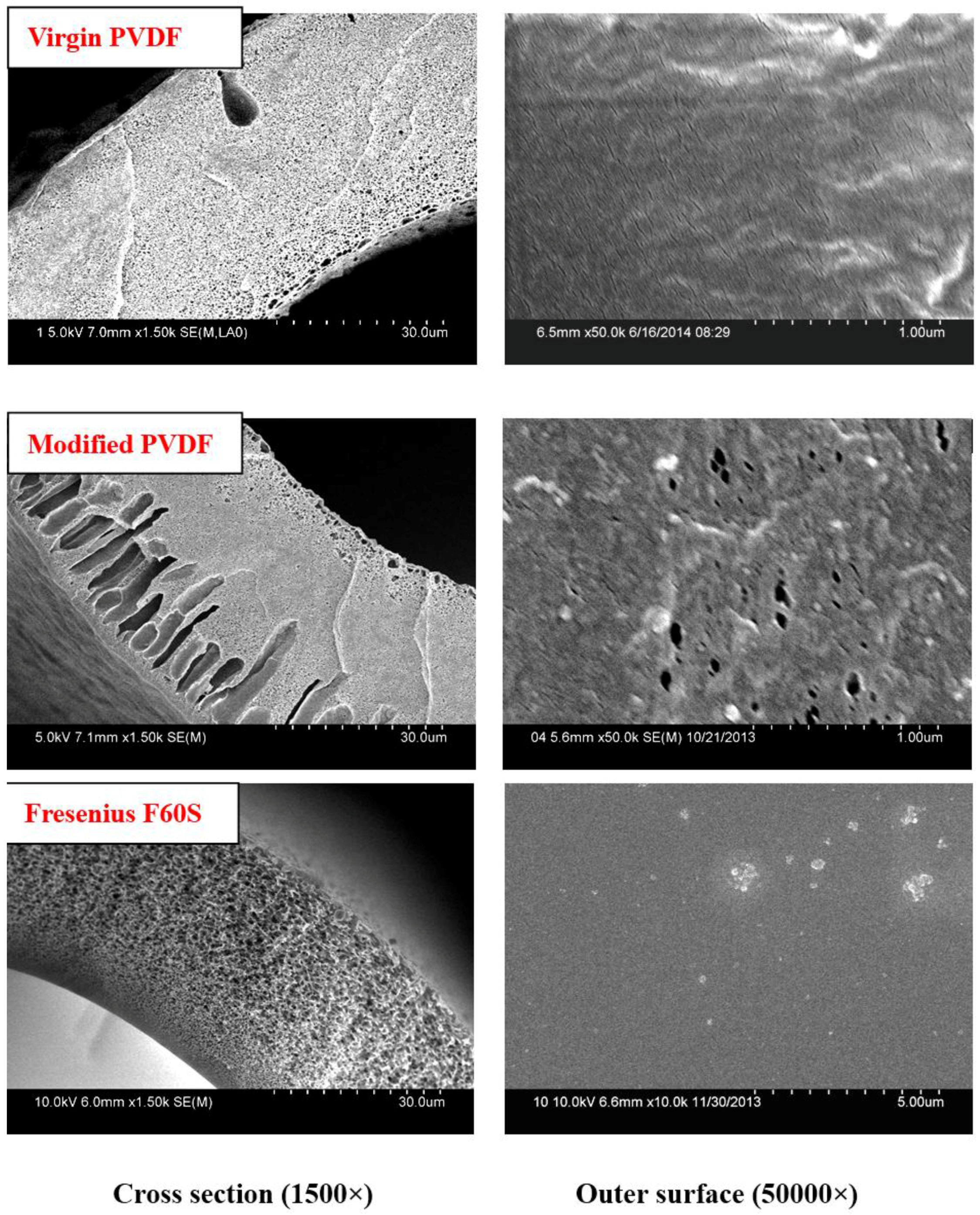 Membranes 06 00045 g005