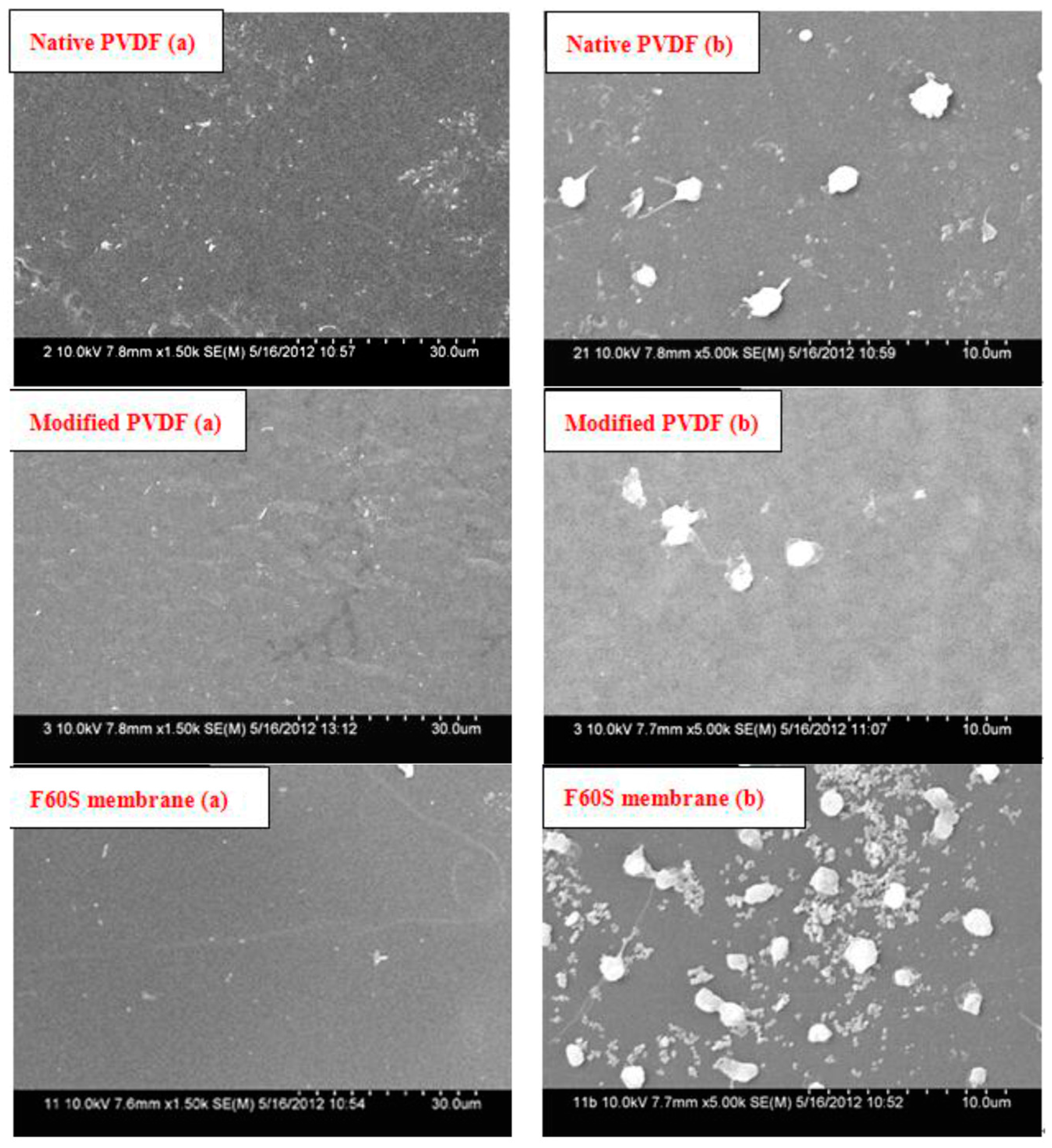Membranes 06 00045 g008
