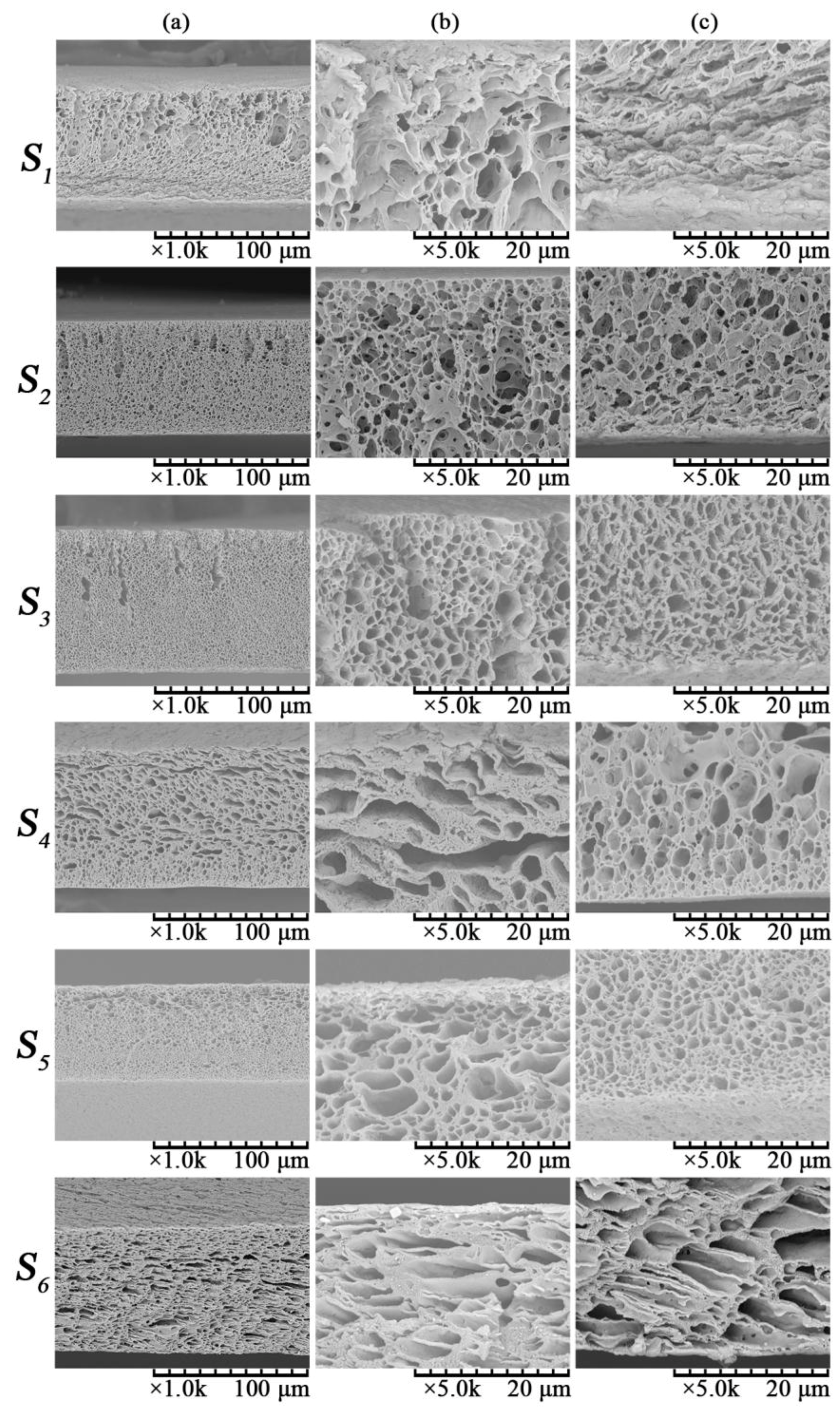 Membranes 06 00047 g001