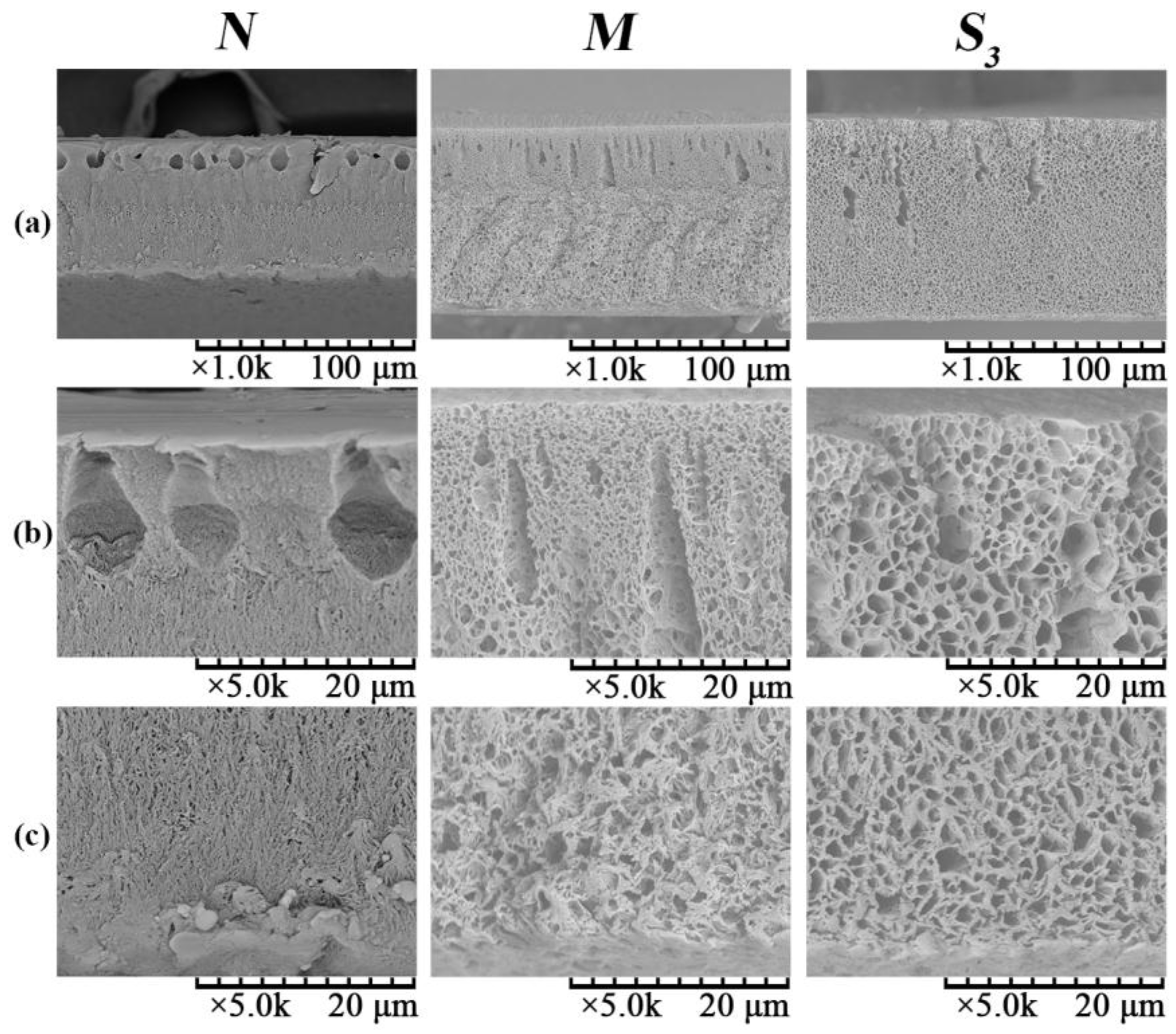 Membranes 06 00047 g008