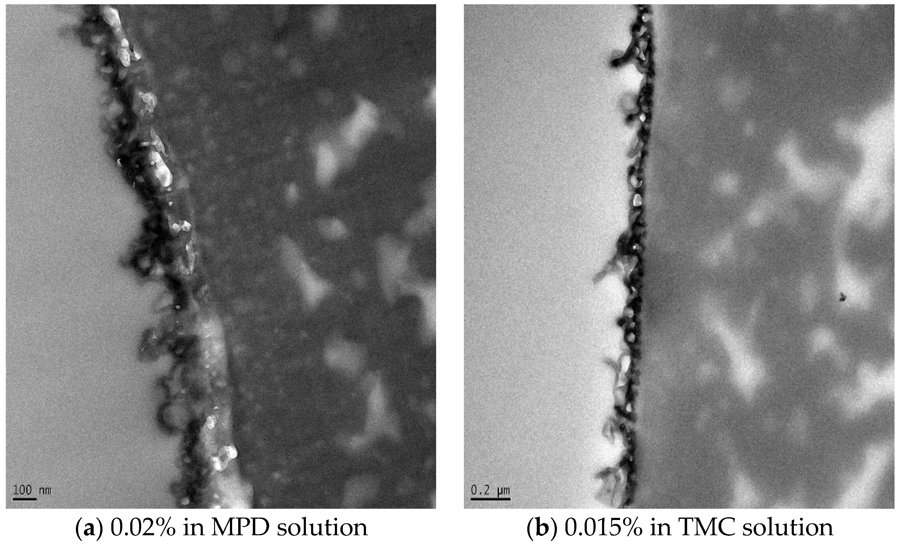 Membranes 06 00050 g003