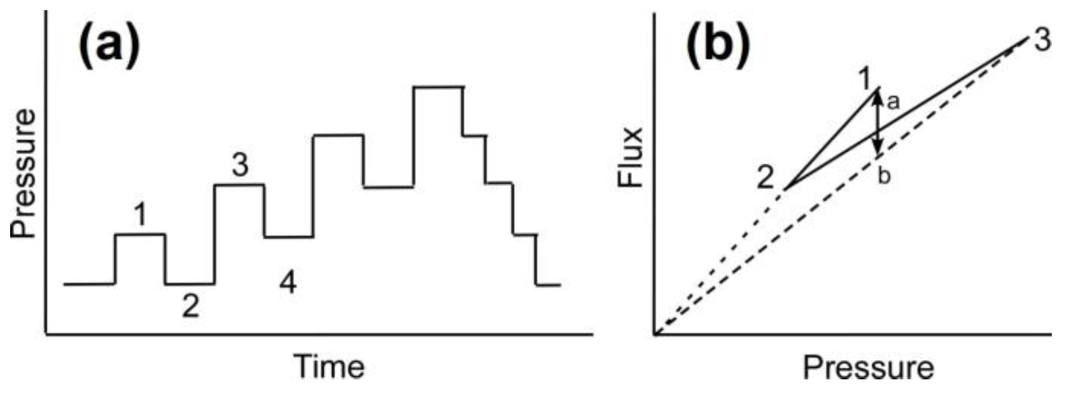 Membranes 07 00004 g010