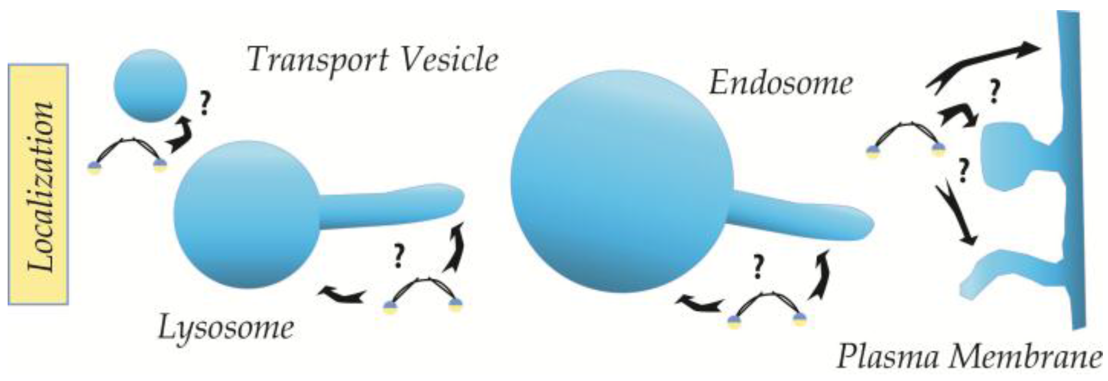 Membranes 07 00006 g001