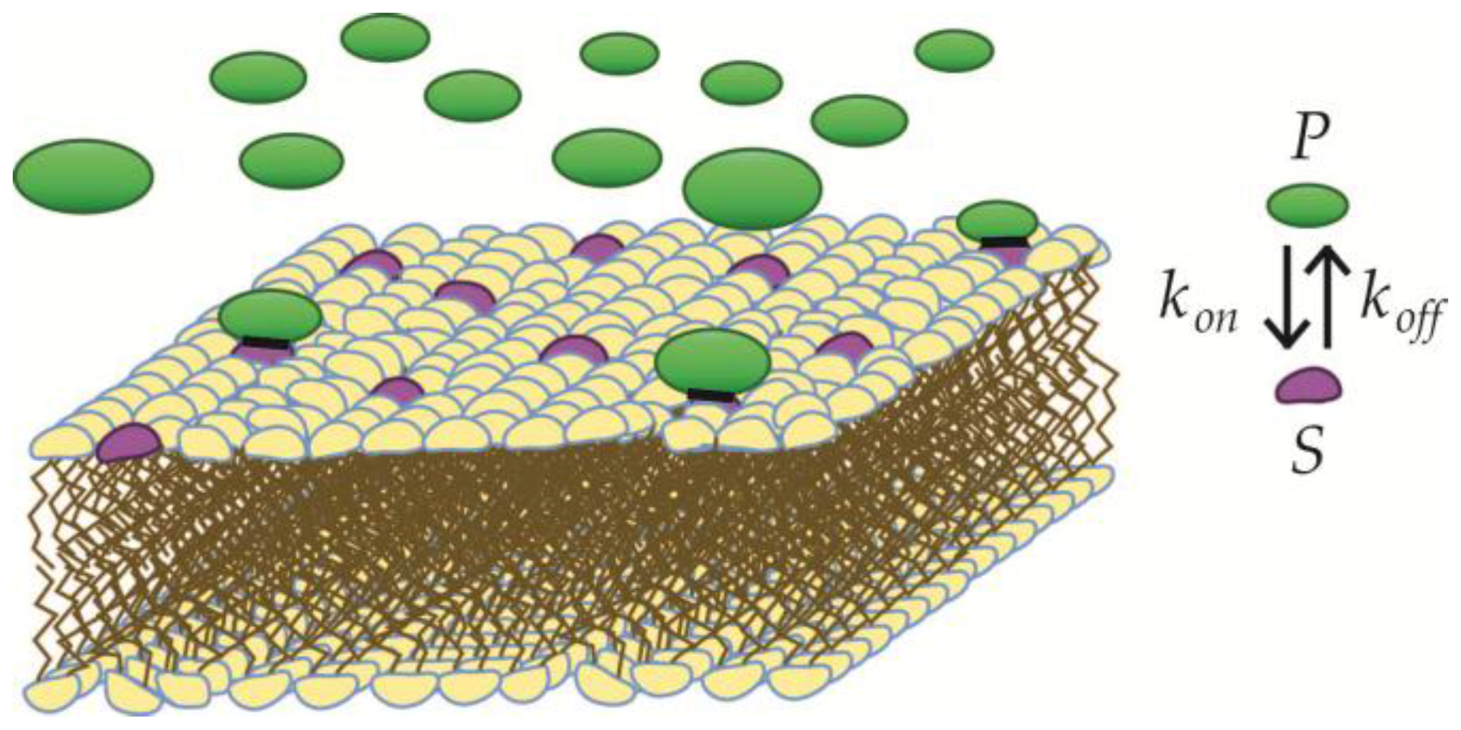 Membranes 07 00006 g002