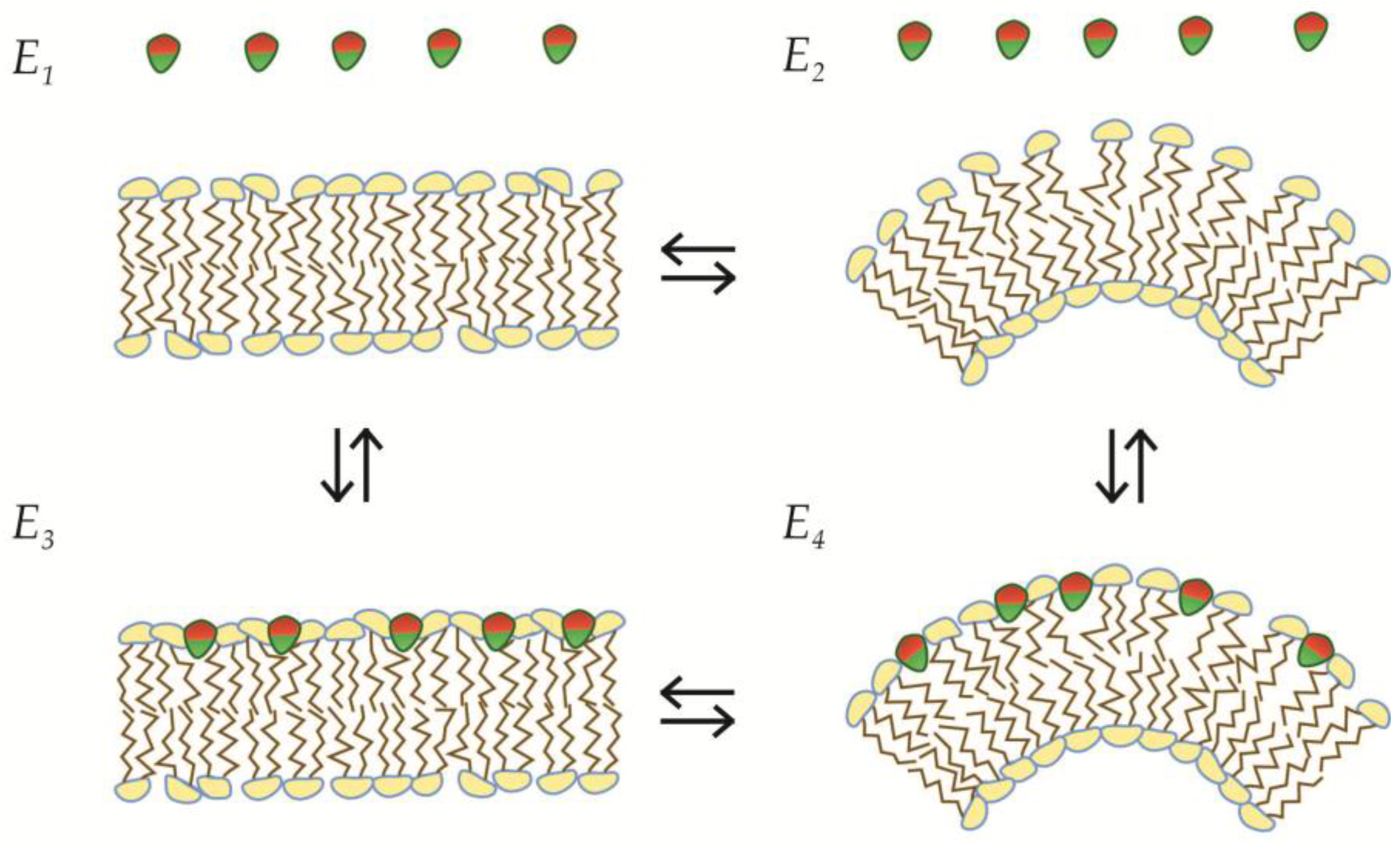 Membranes 07 00006 g003