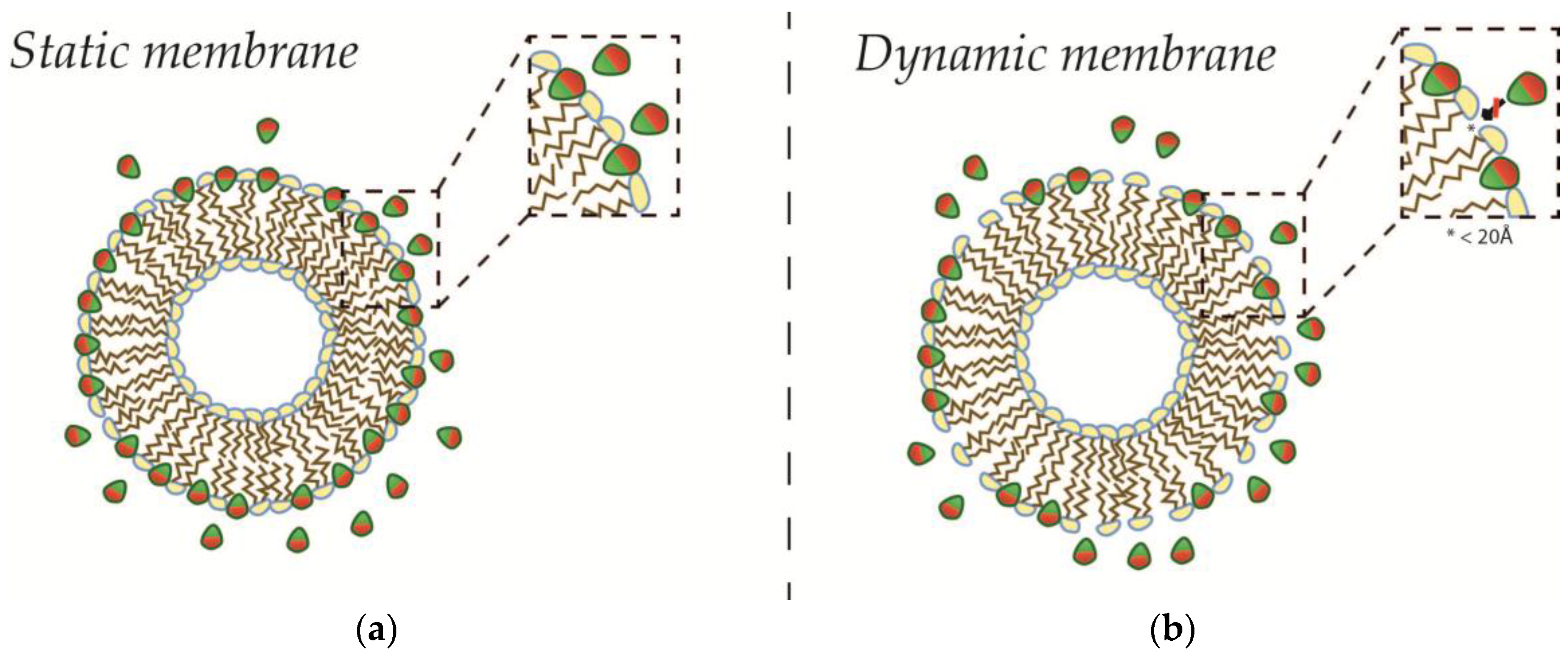 Membranes 07 00006 g005