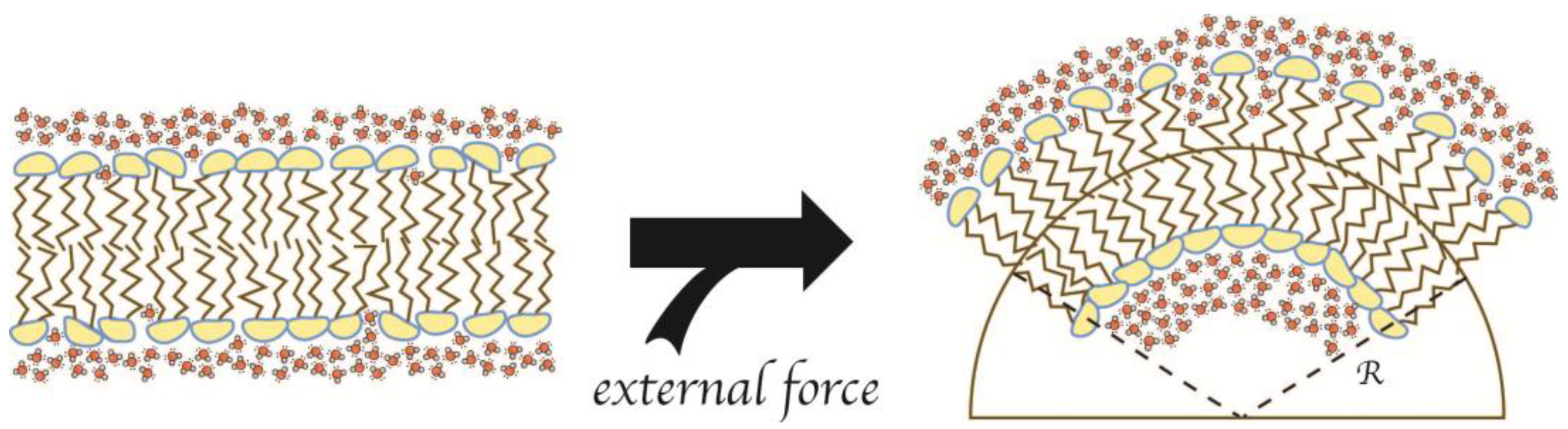 Membranes 07 00006 g006
