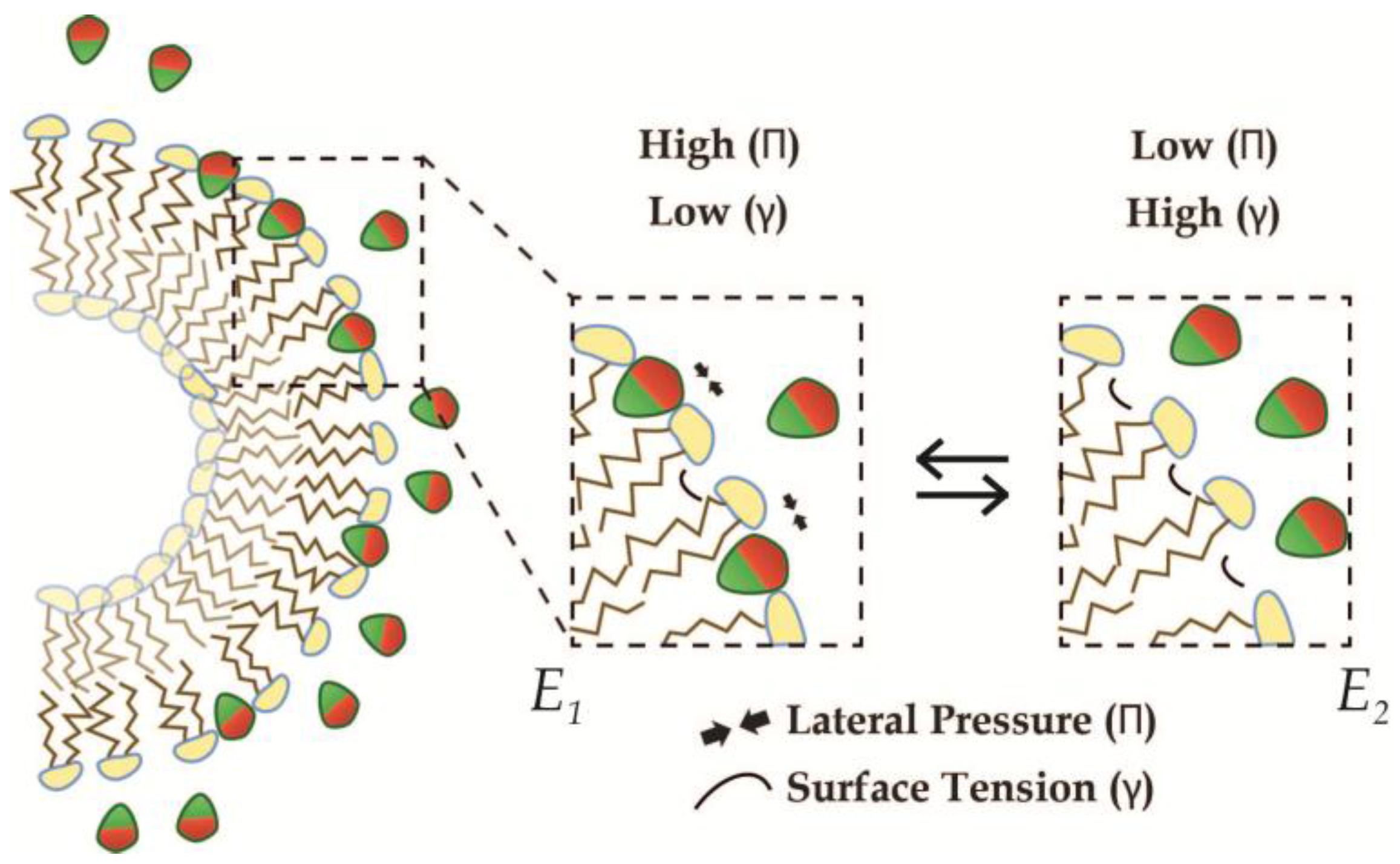 Membranes 07 00006 g007