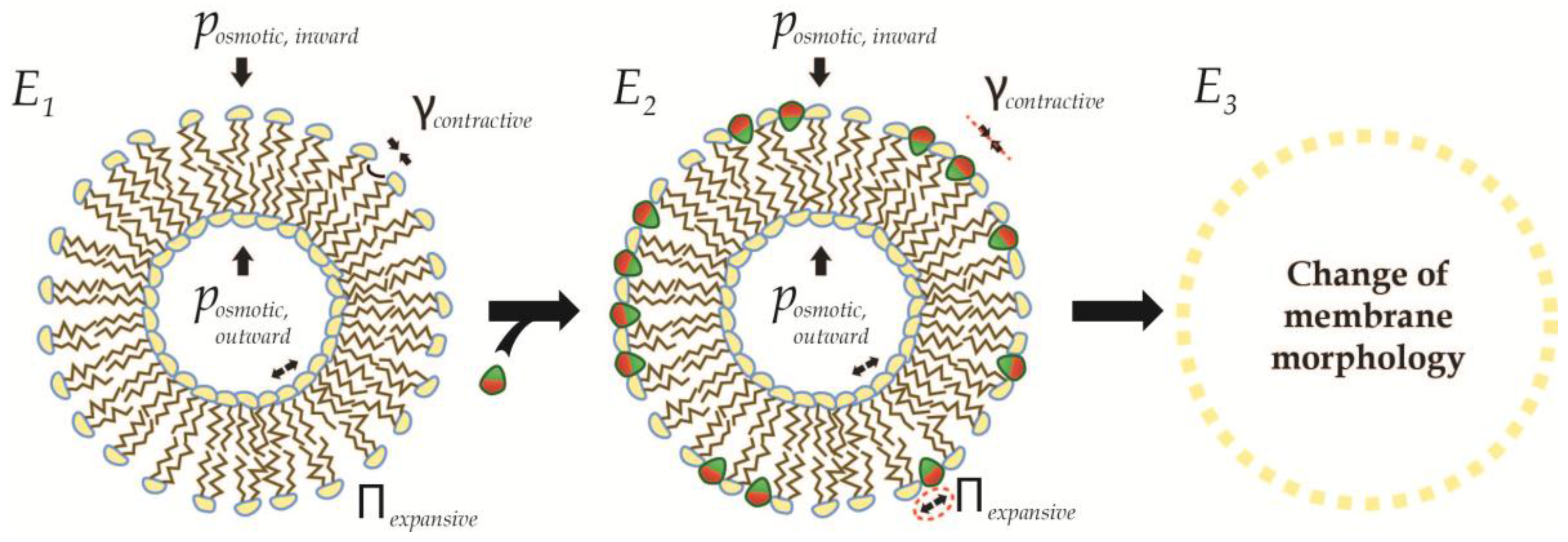 Membranes 07 00006 g008