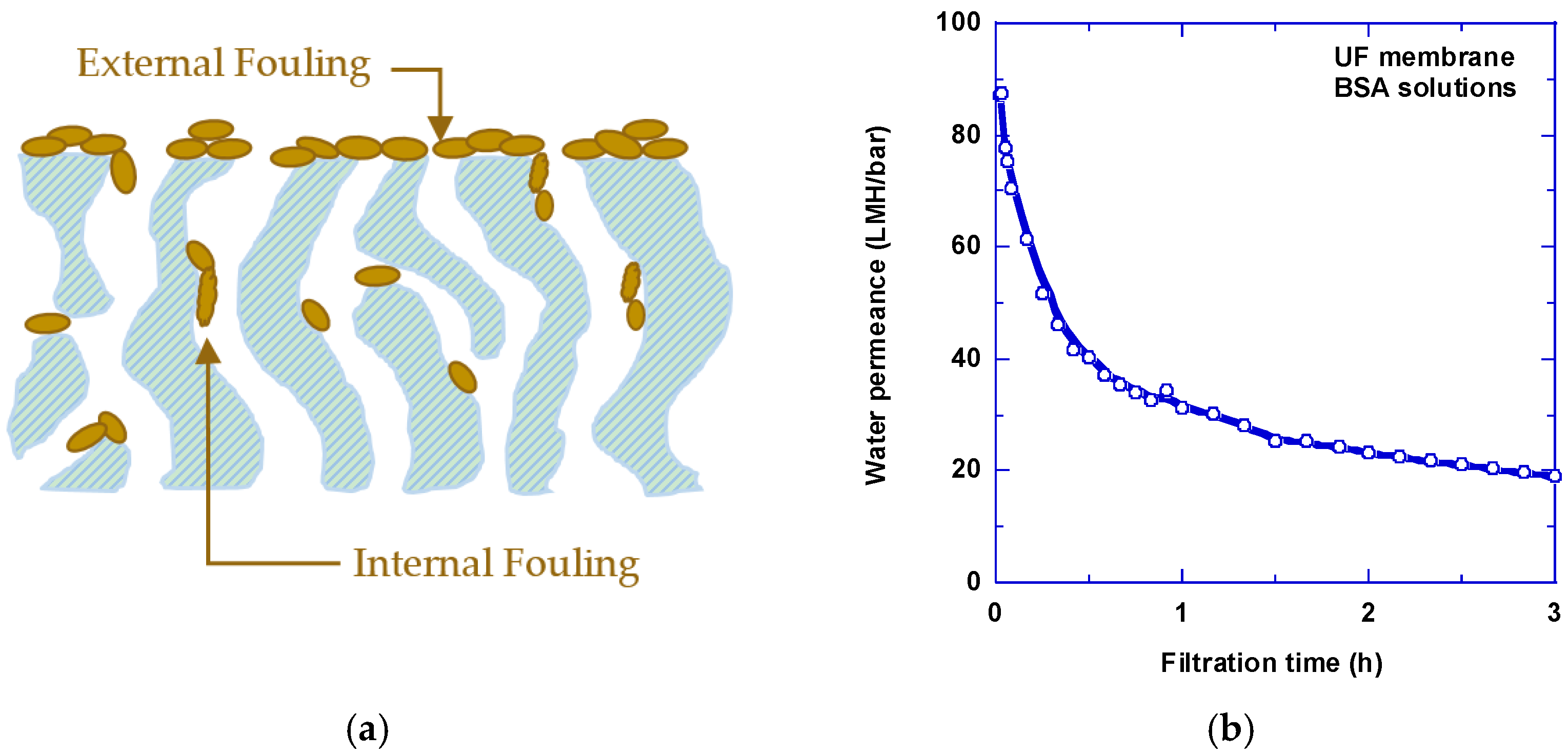 Membranes 07 00013 g001