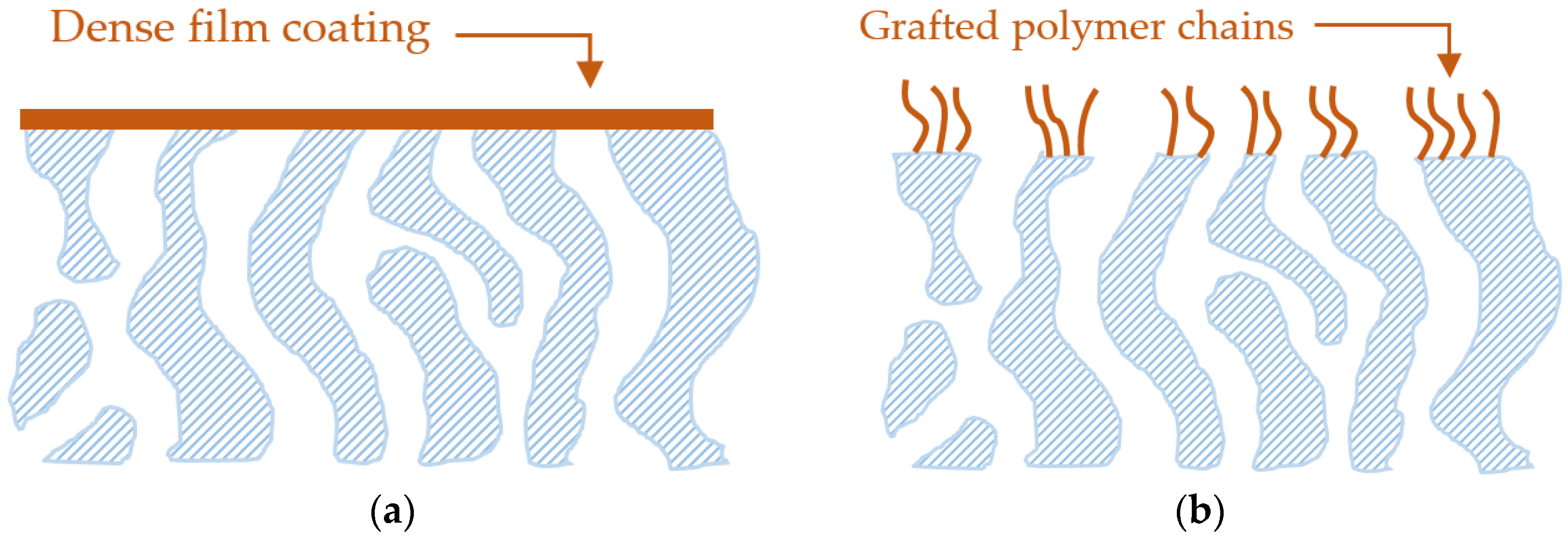 Membranes 07 00013 g002