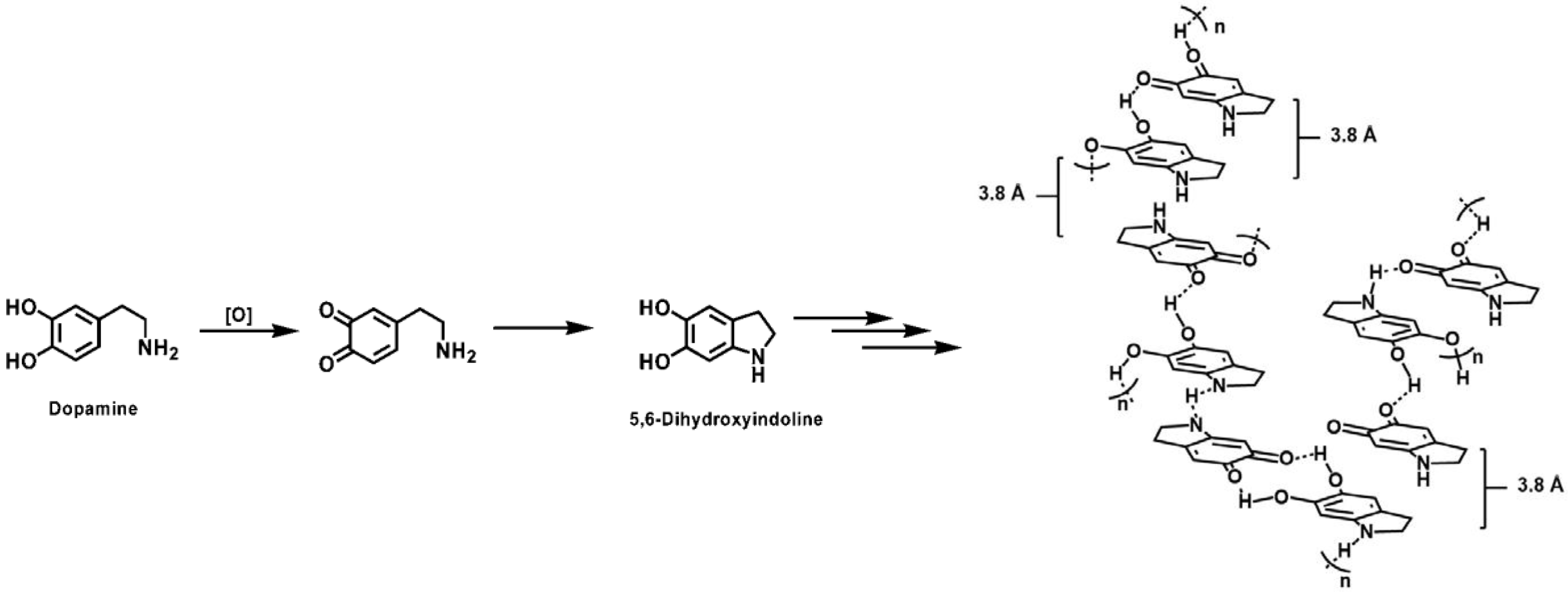Membranes 07 00013 g006