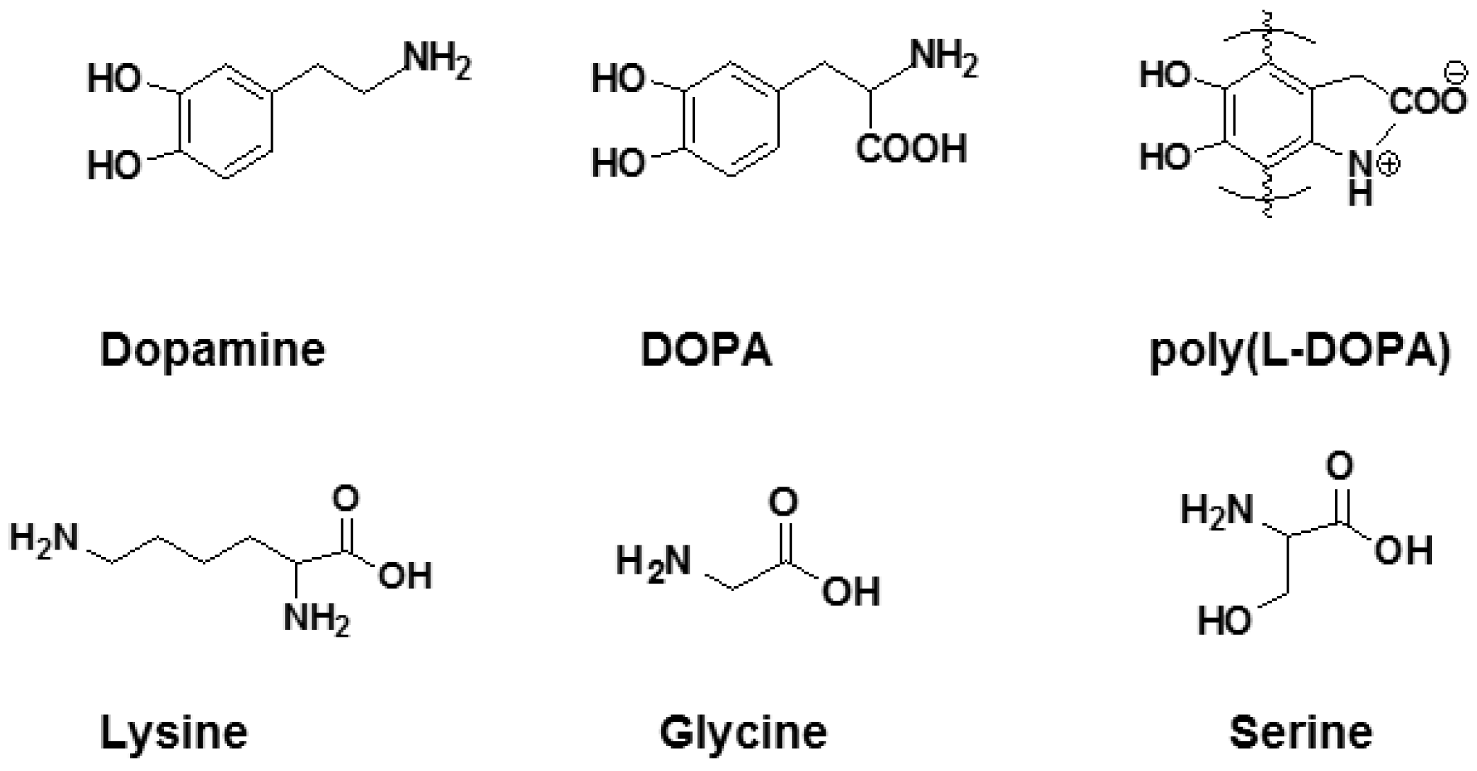 Membranes 07 00013 g008