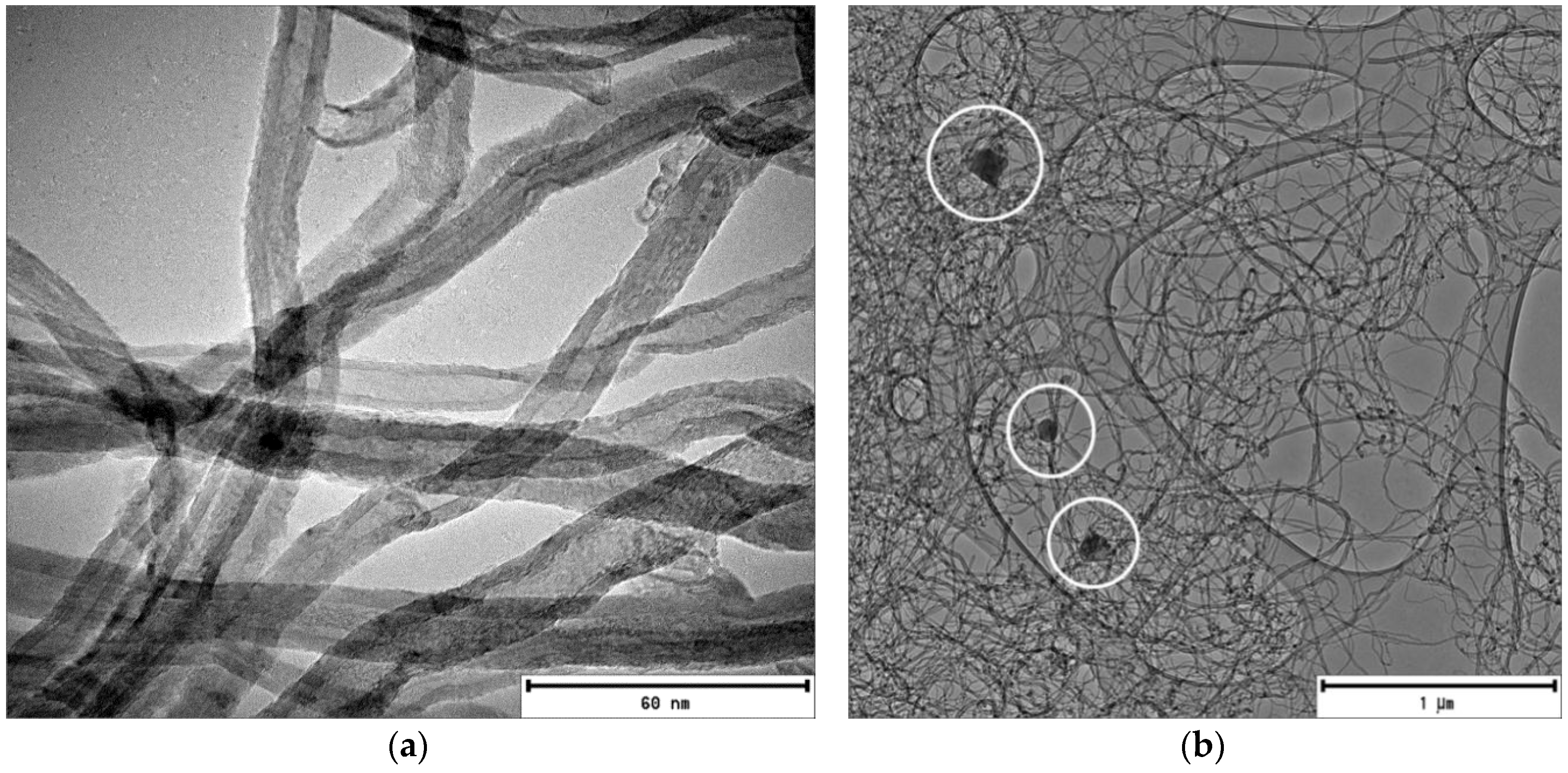 Membranes 07 00014 g003