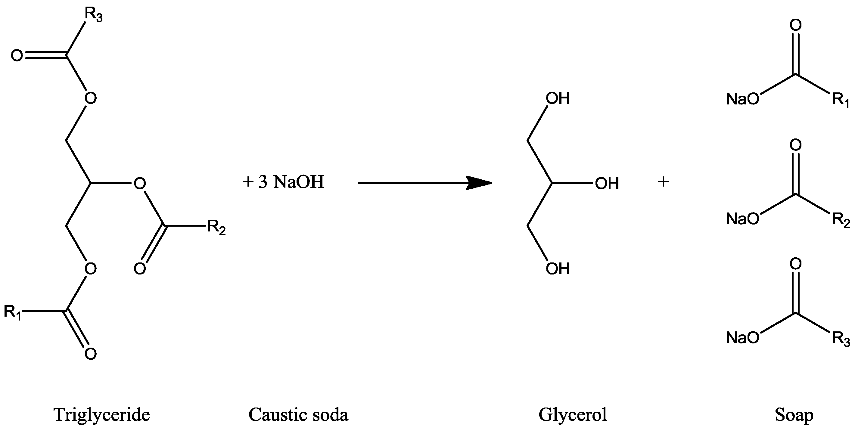 Membranes 07 00017 g006