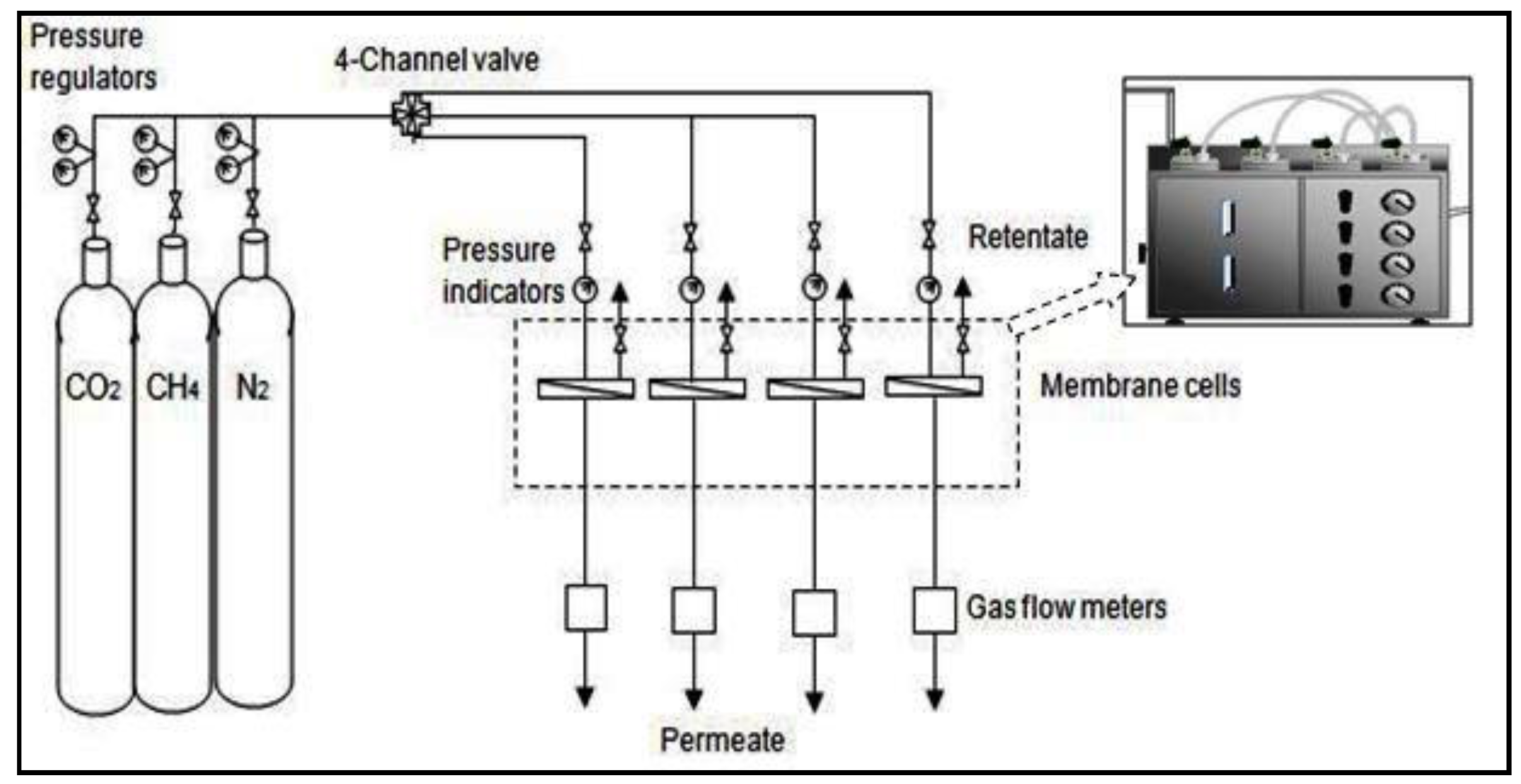 Membranes 07 00021 g002