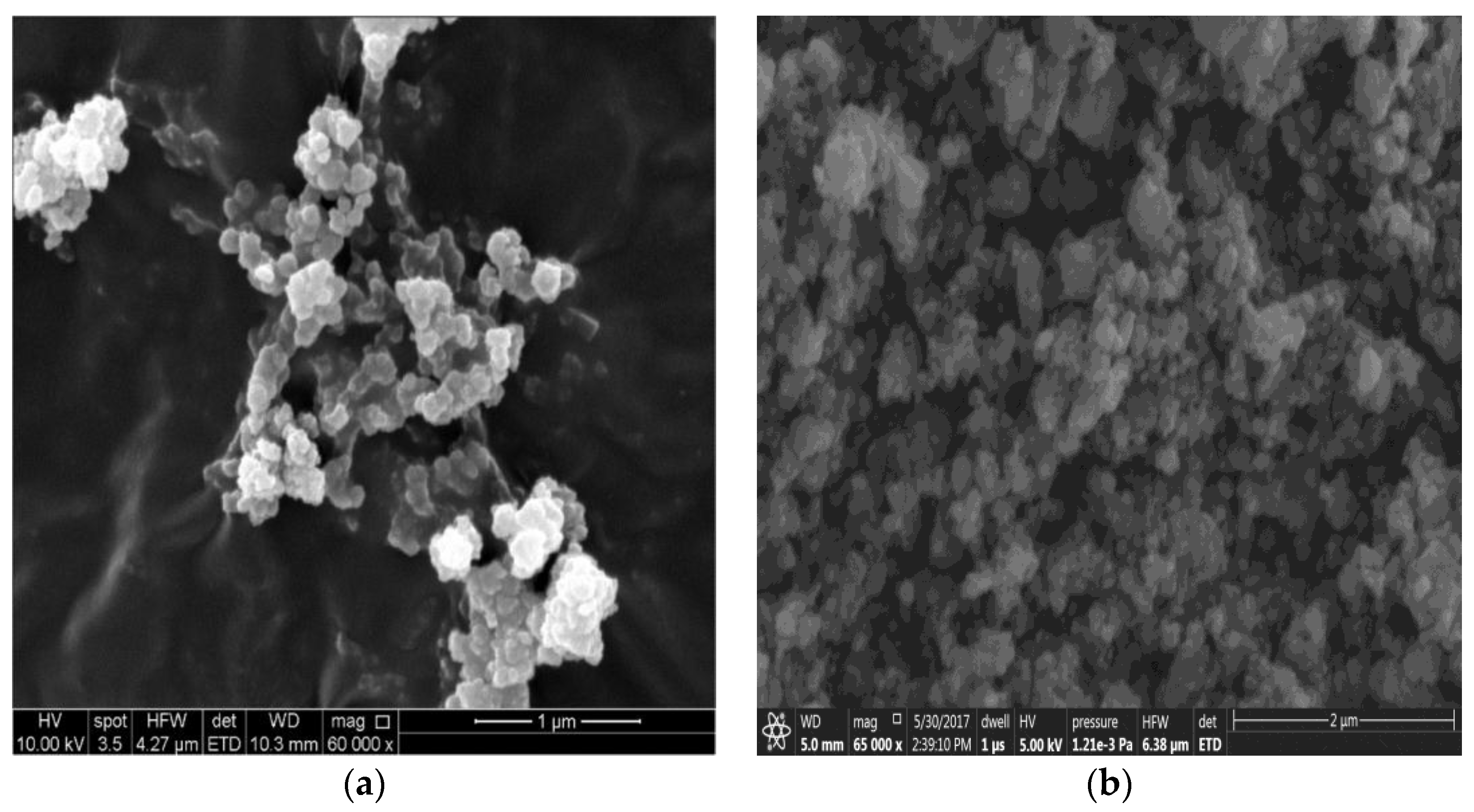 Membranes 07 00031 g002