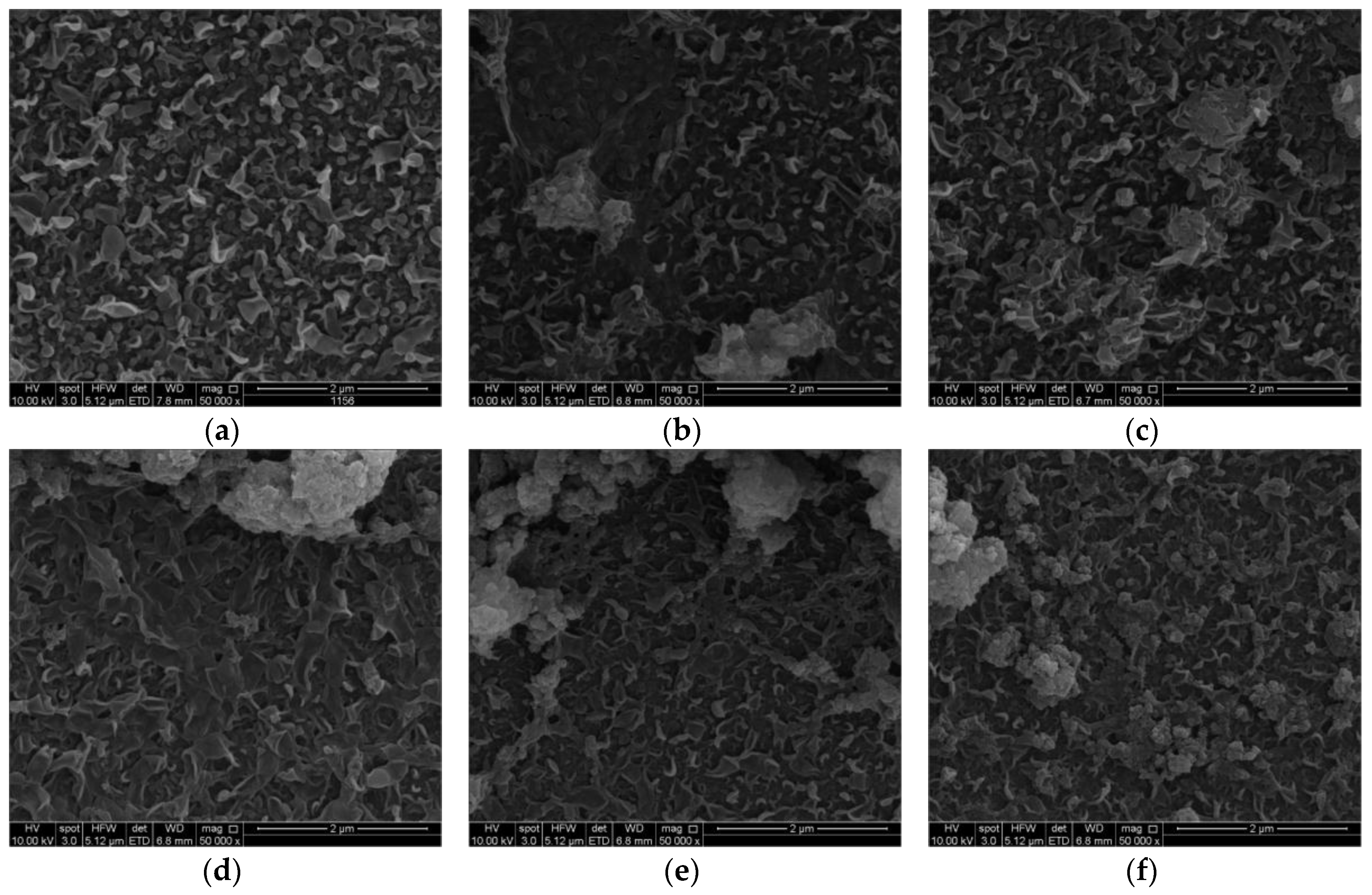Membranes 07 00031 g005