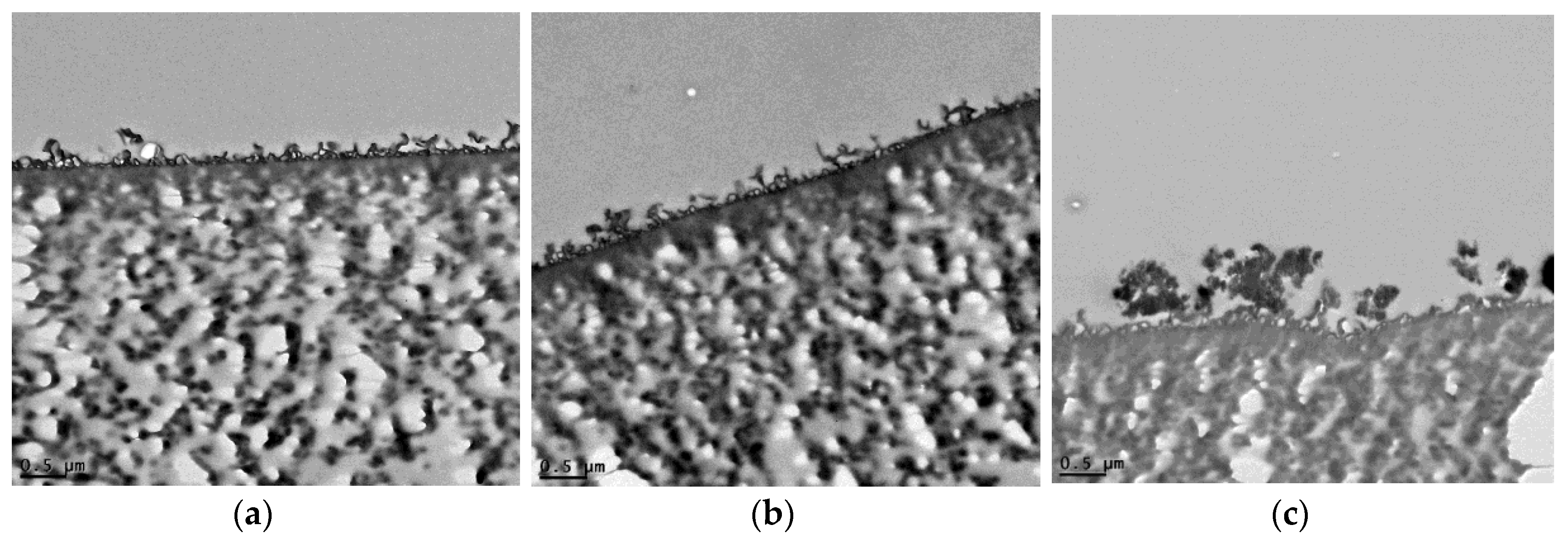 Membranes 07 00031 g007