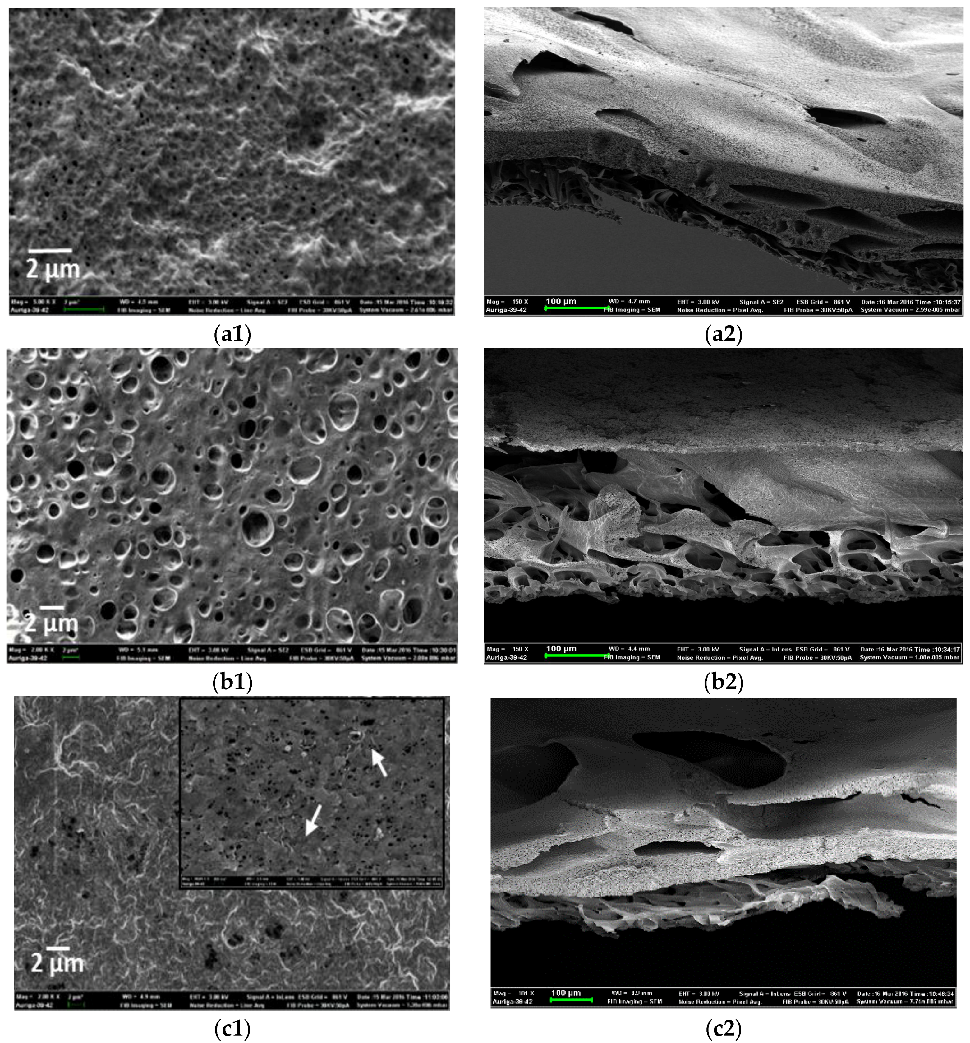 Membranes 07 00035 g005a Membranes 07 00035 g005a
