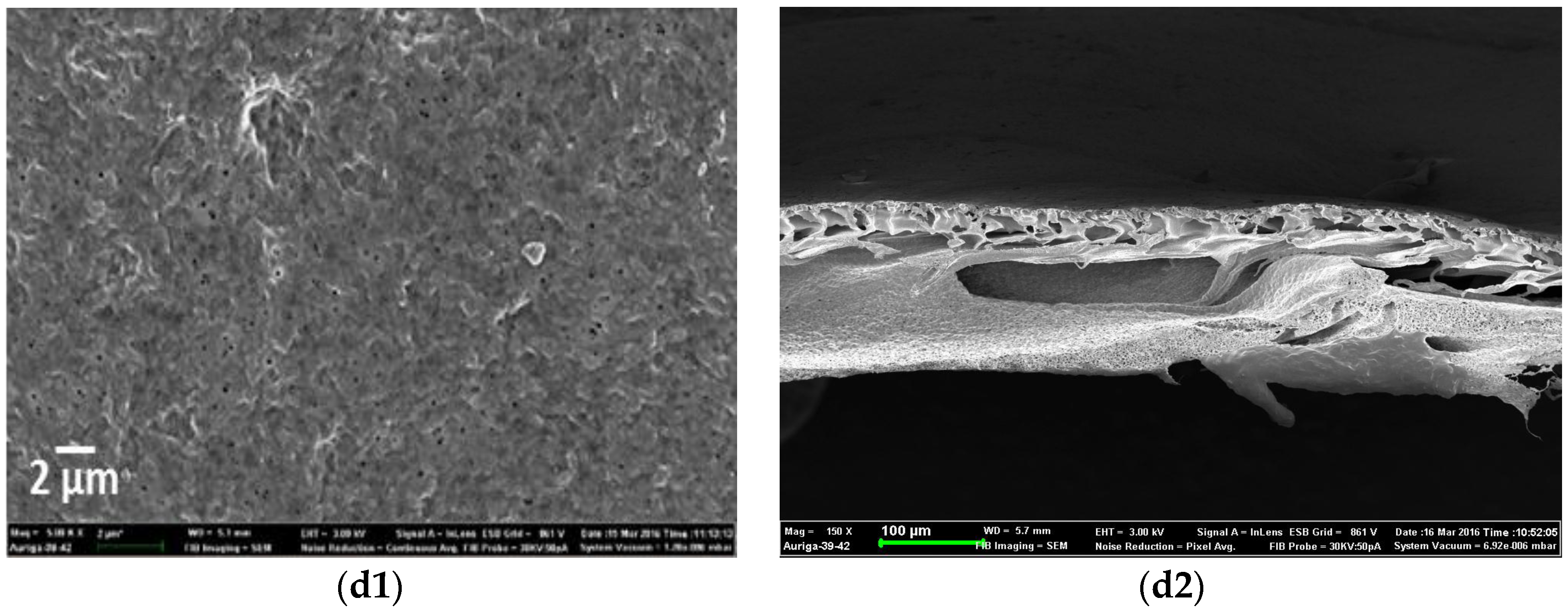 Membranes 07 00035 g005b Membranes 07 00035 g005b
