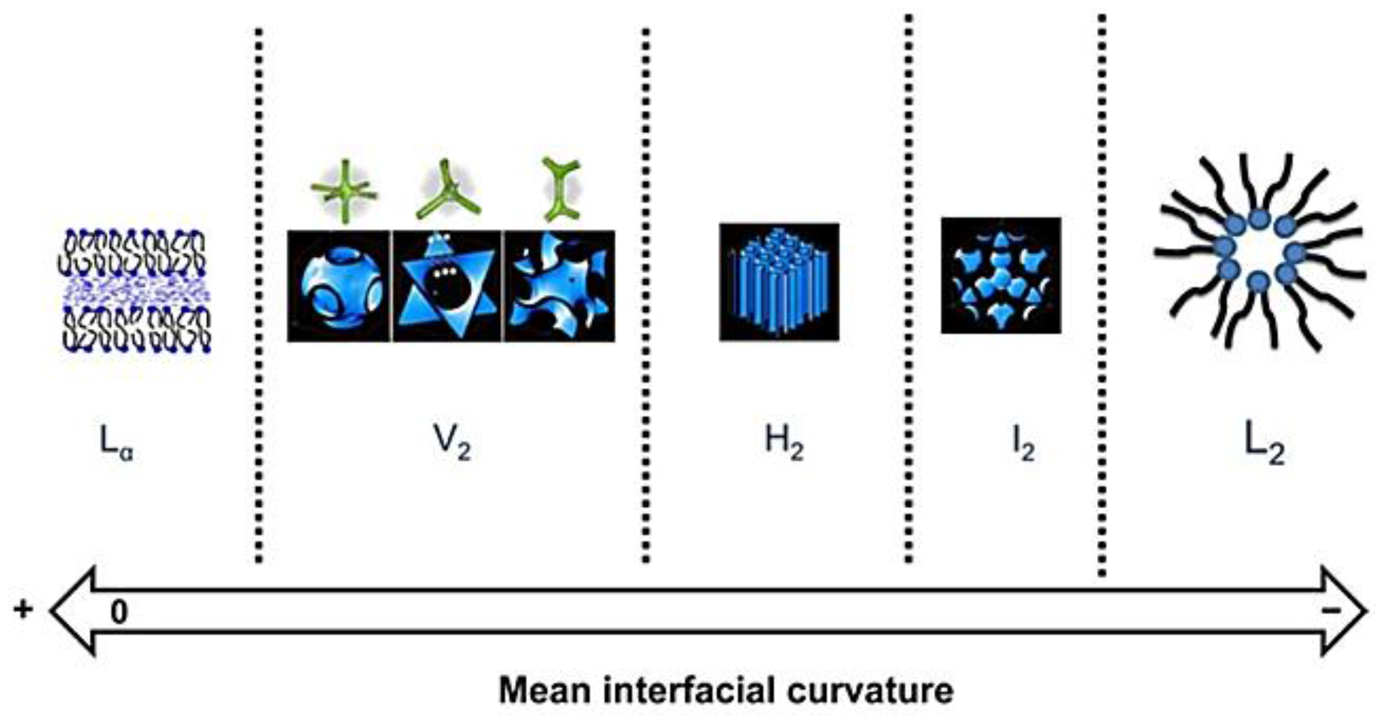 Membranes 07 00037 g007