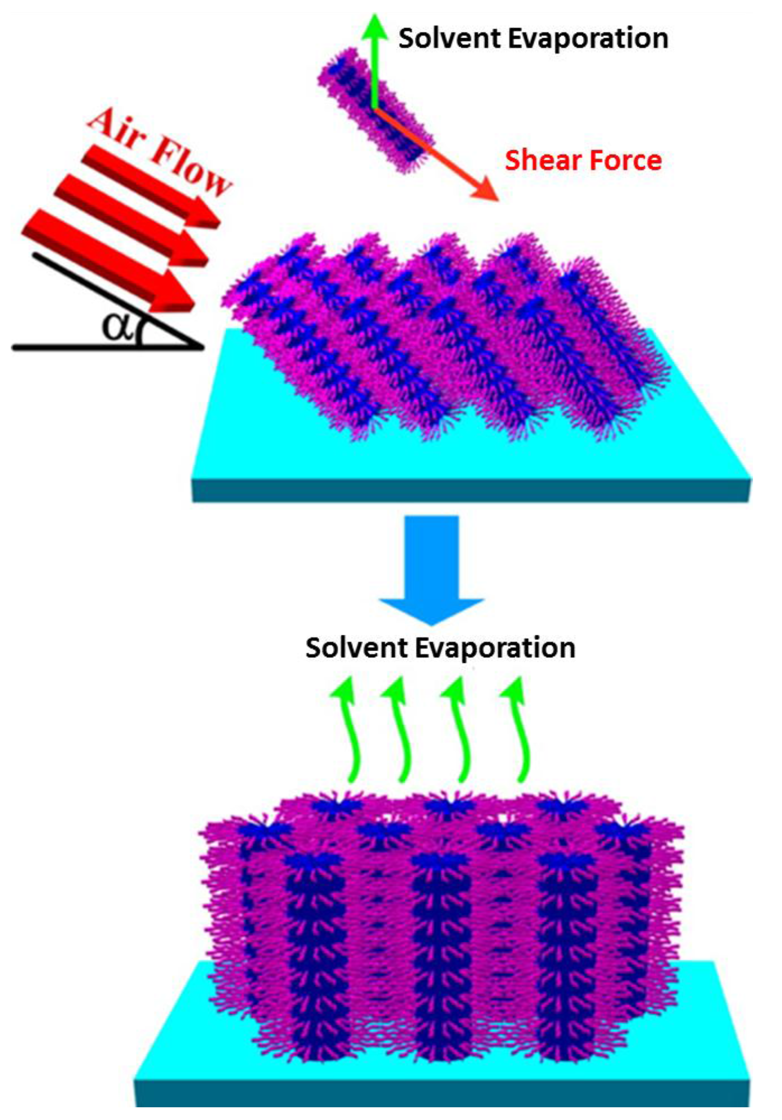 Membranes 07 00037 g012