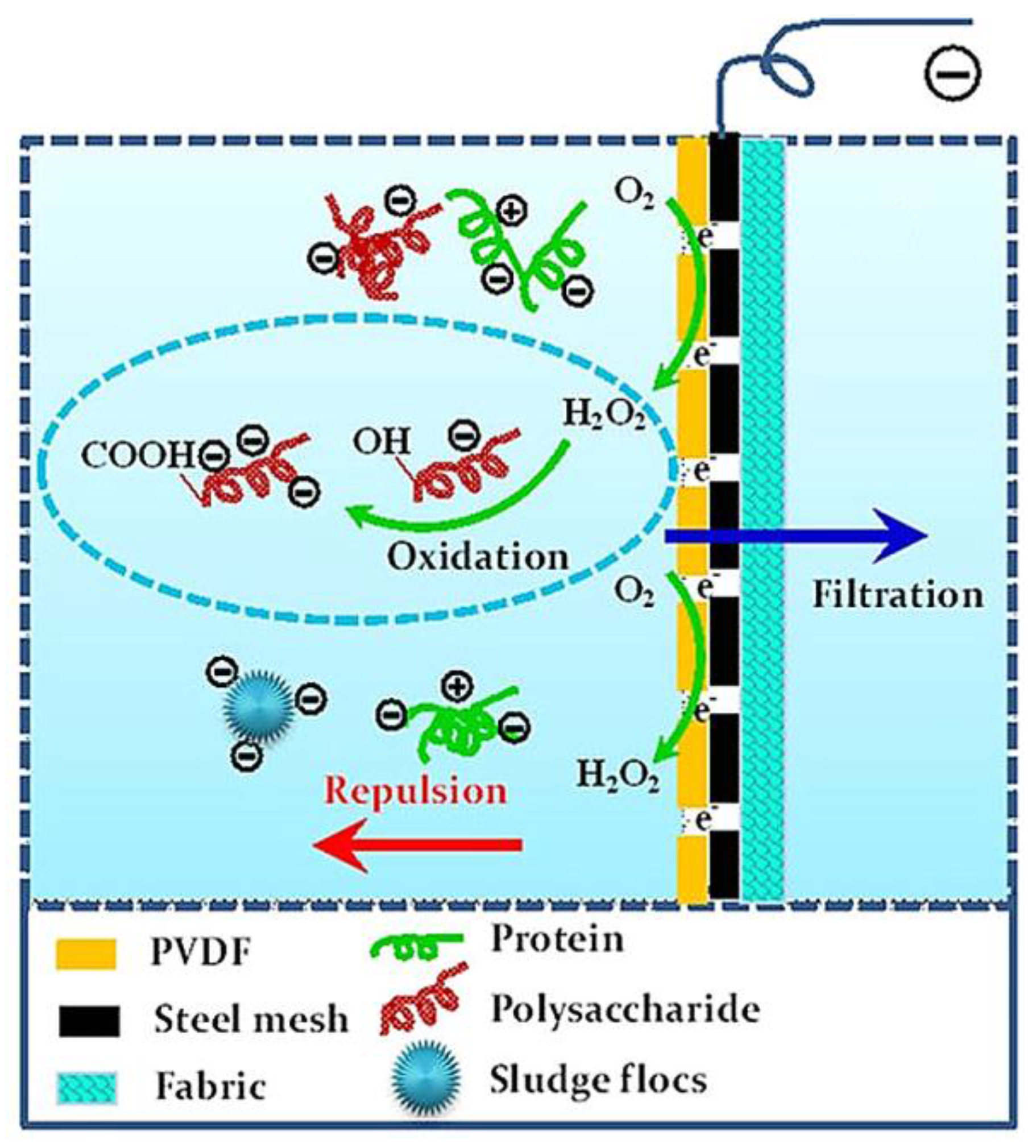 Membranes 07 00039 g007