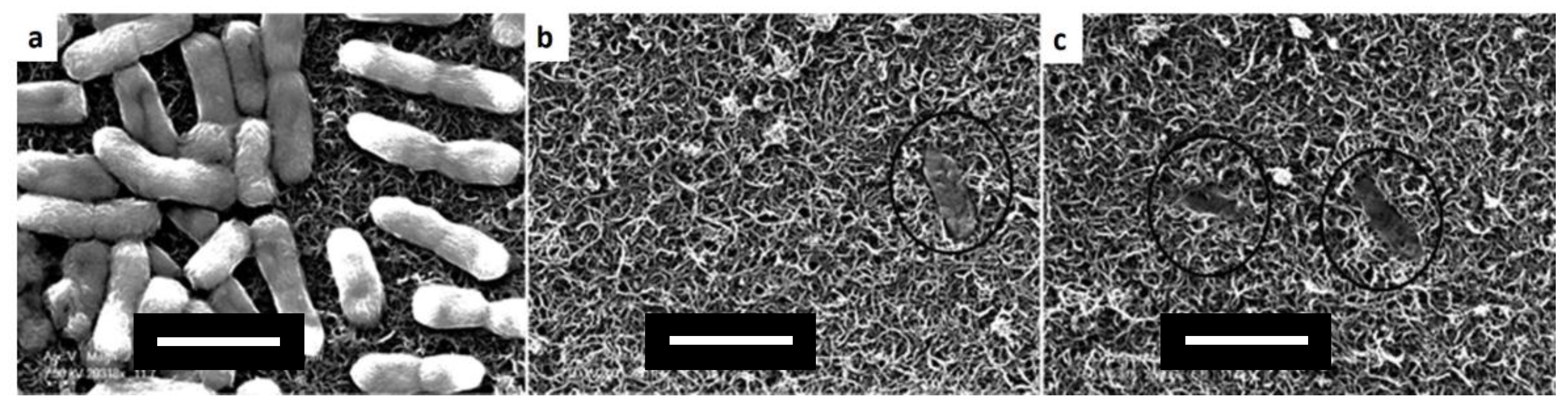 Membranes 07 00039 g017