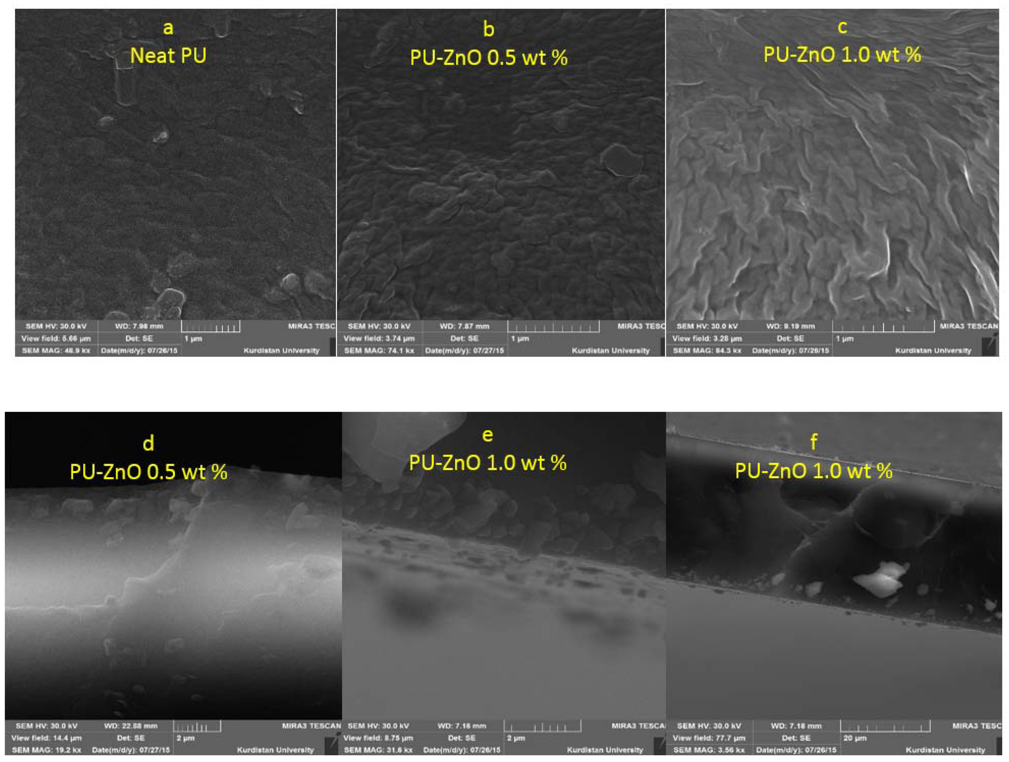Membranes 07 00043 g002