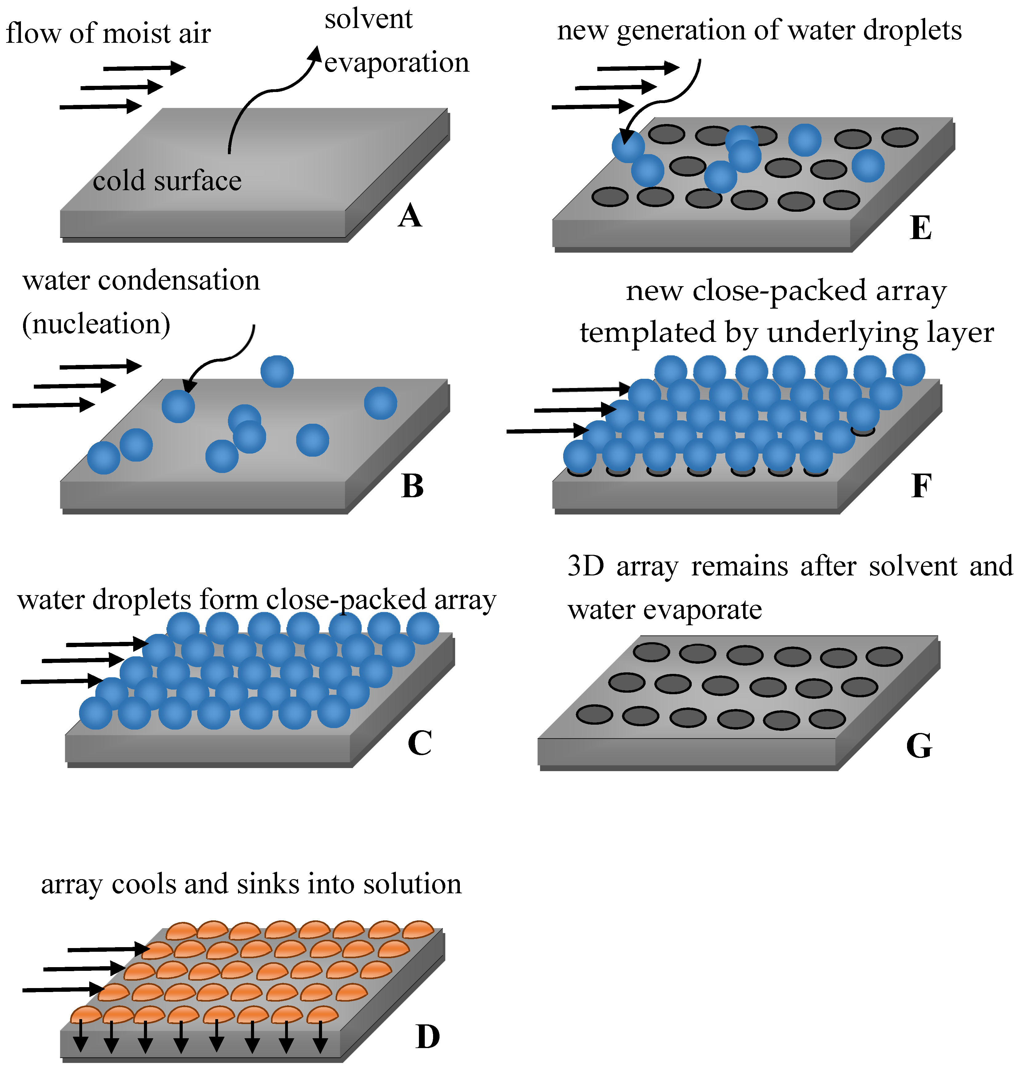 Membranes 07 00045 g001 Membranes 07 00045 g001