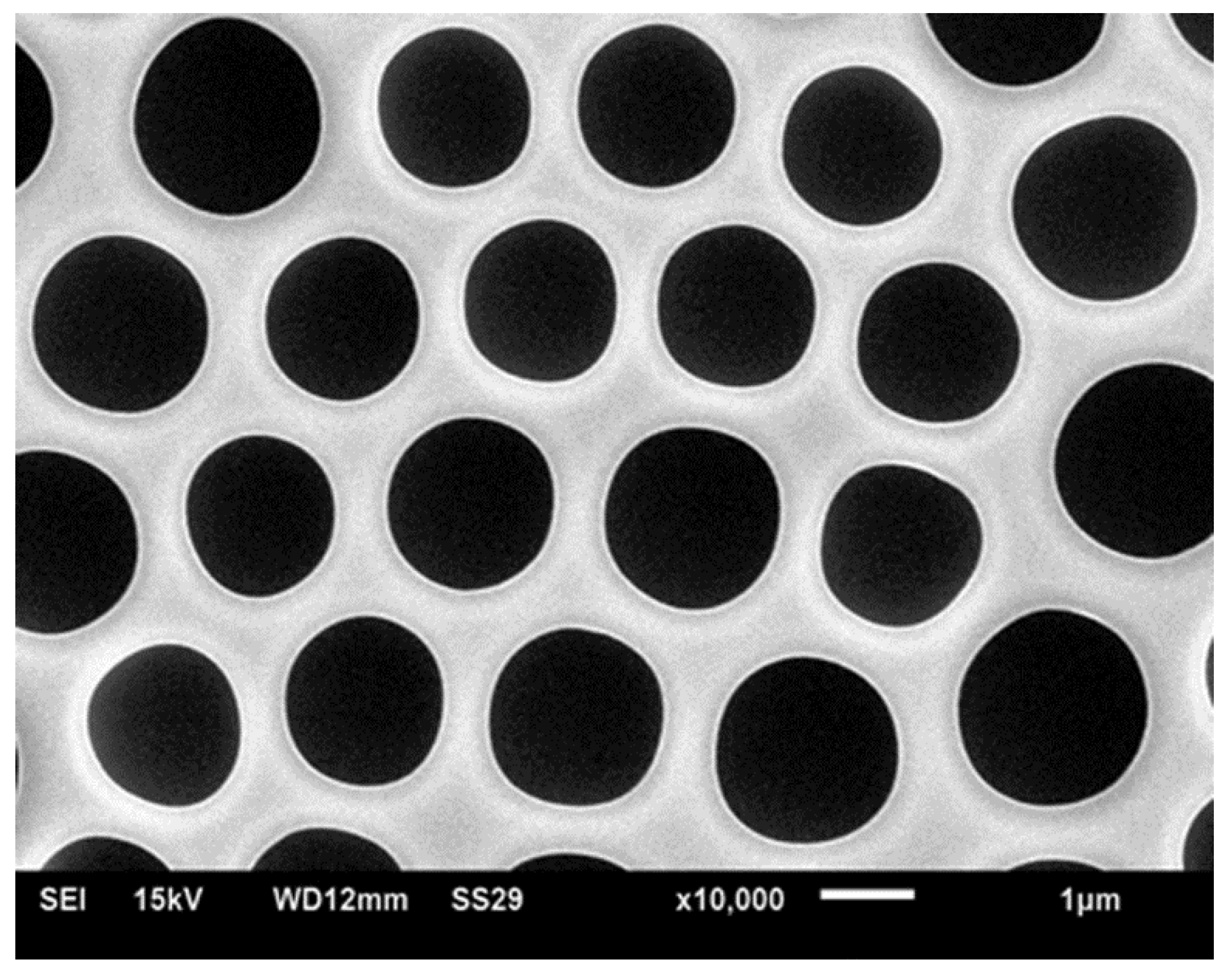 Membranes 07 00045 g002 Membranes 07 00045 g002