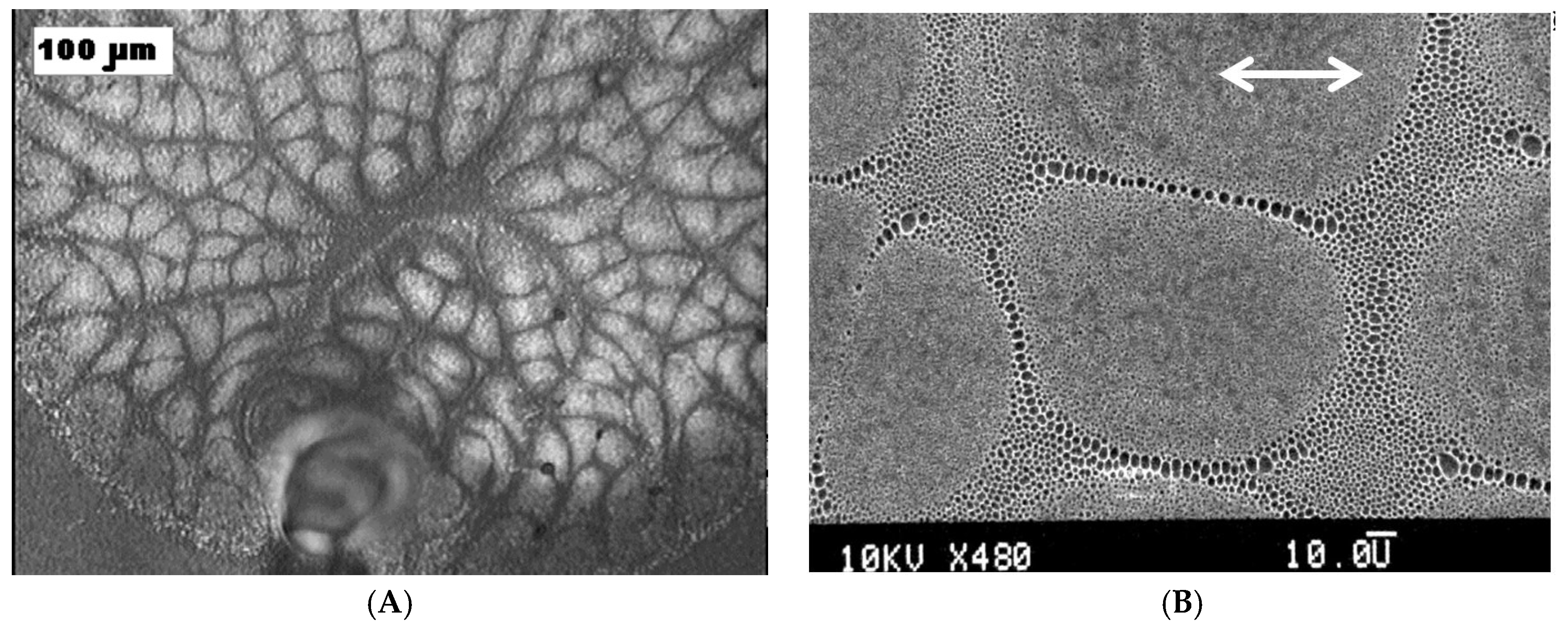 Membranes 07 00045 g003 Membranes 07 00045 g003