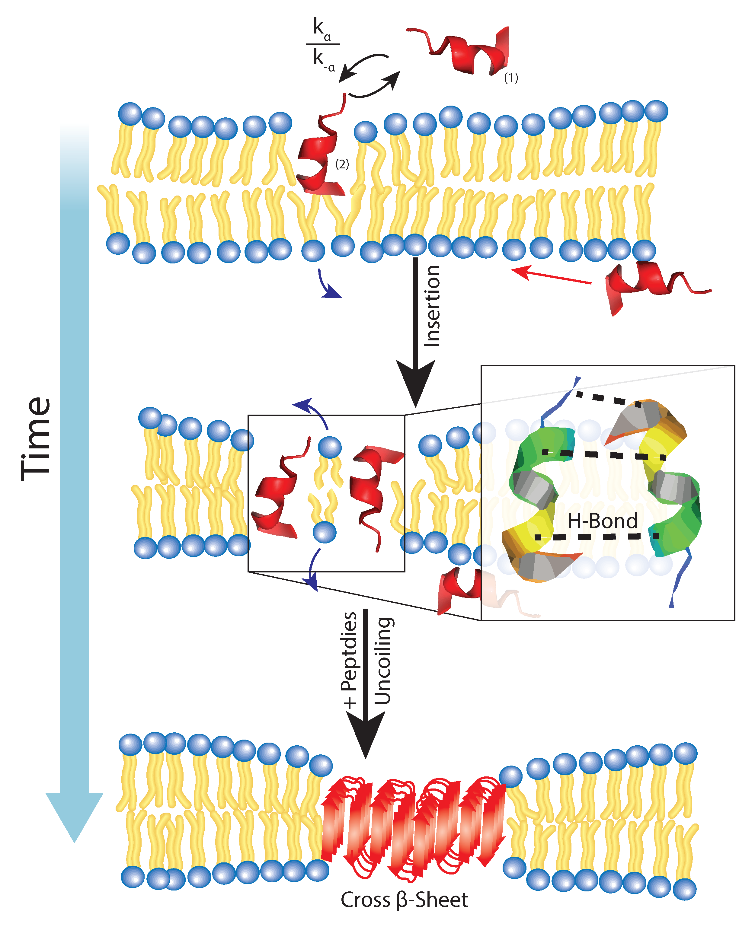 Membranes 07 00049 g007