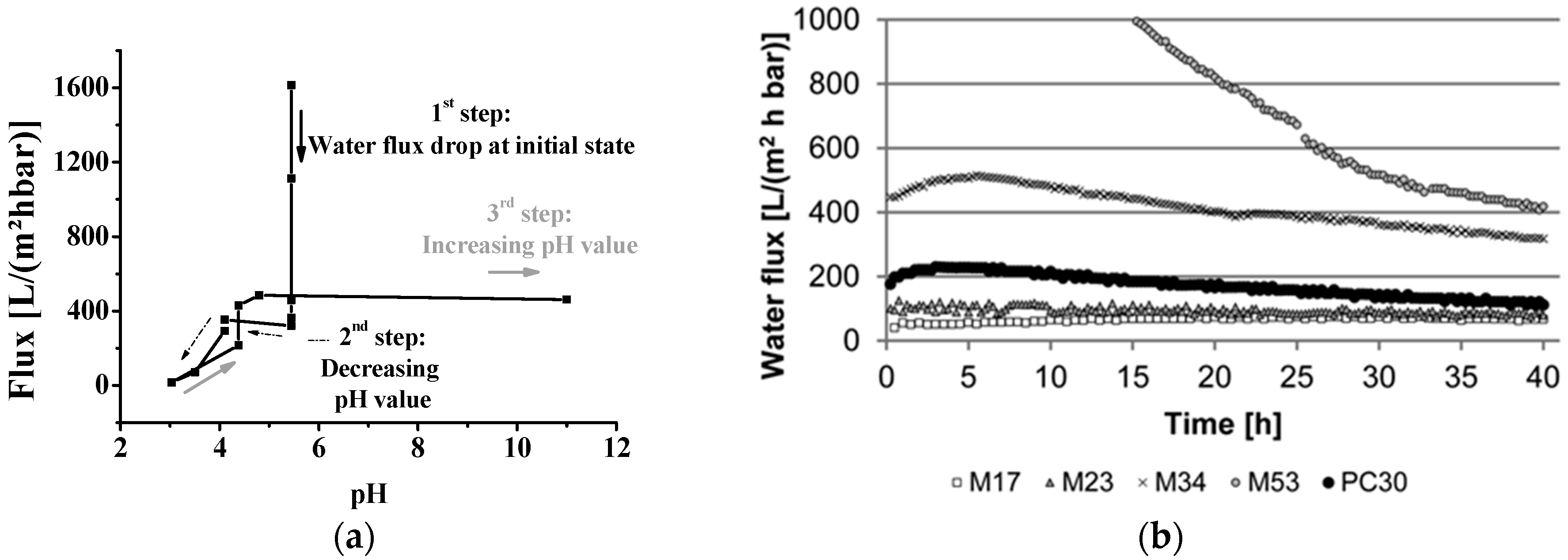 Membranes 07 00051 g001 Membranes 07 00051 g001