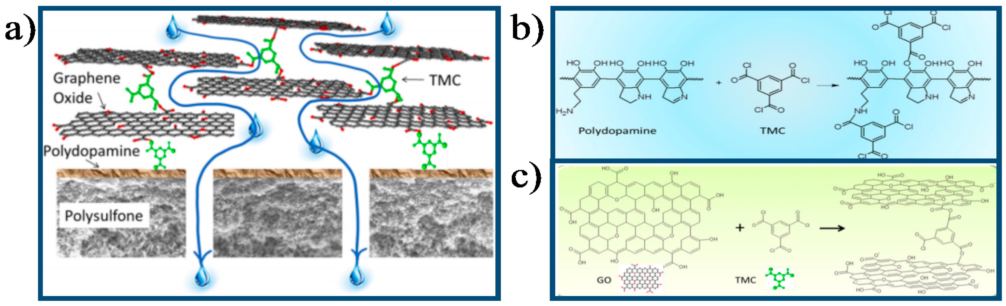 Membranes 07 00052 g010 Membranes 07 00052 g010