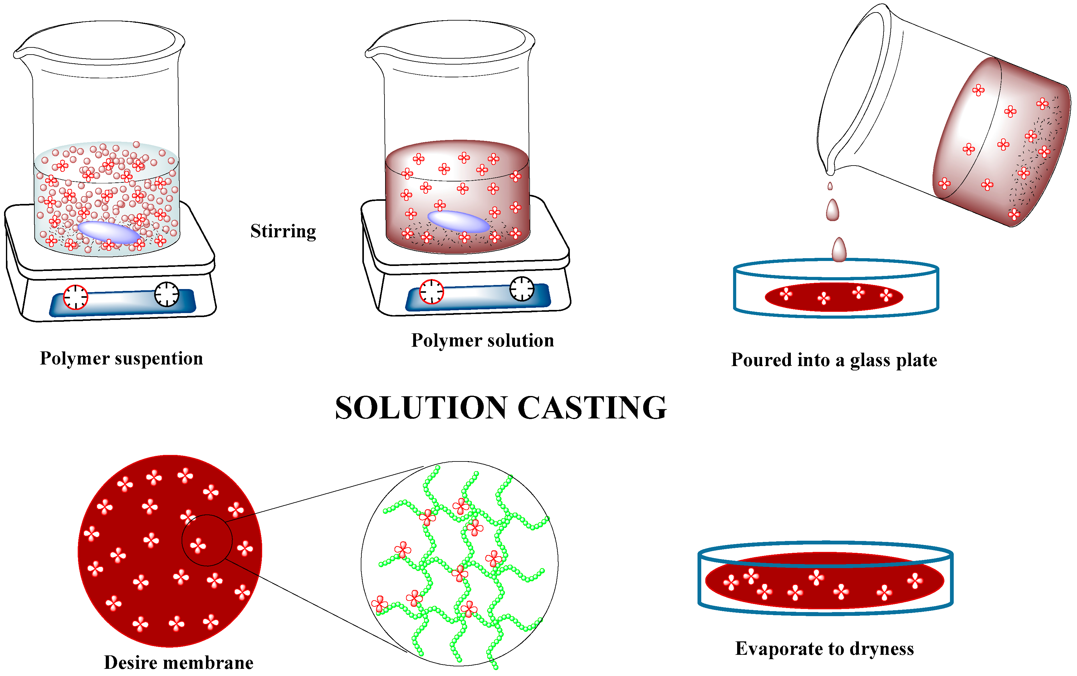 Membranes 07 00053 g001