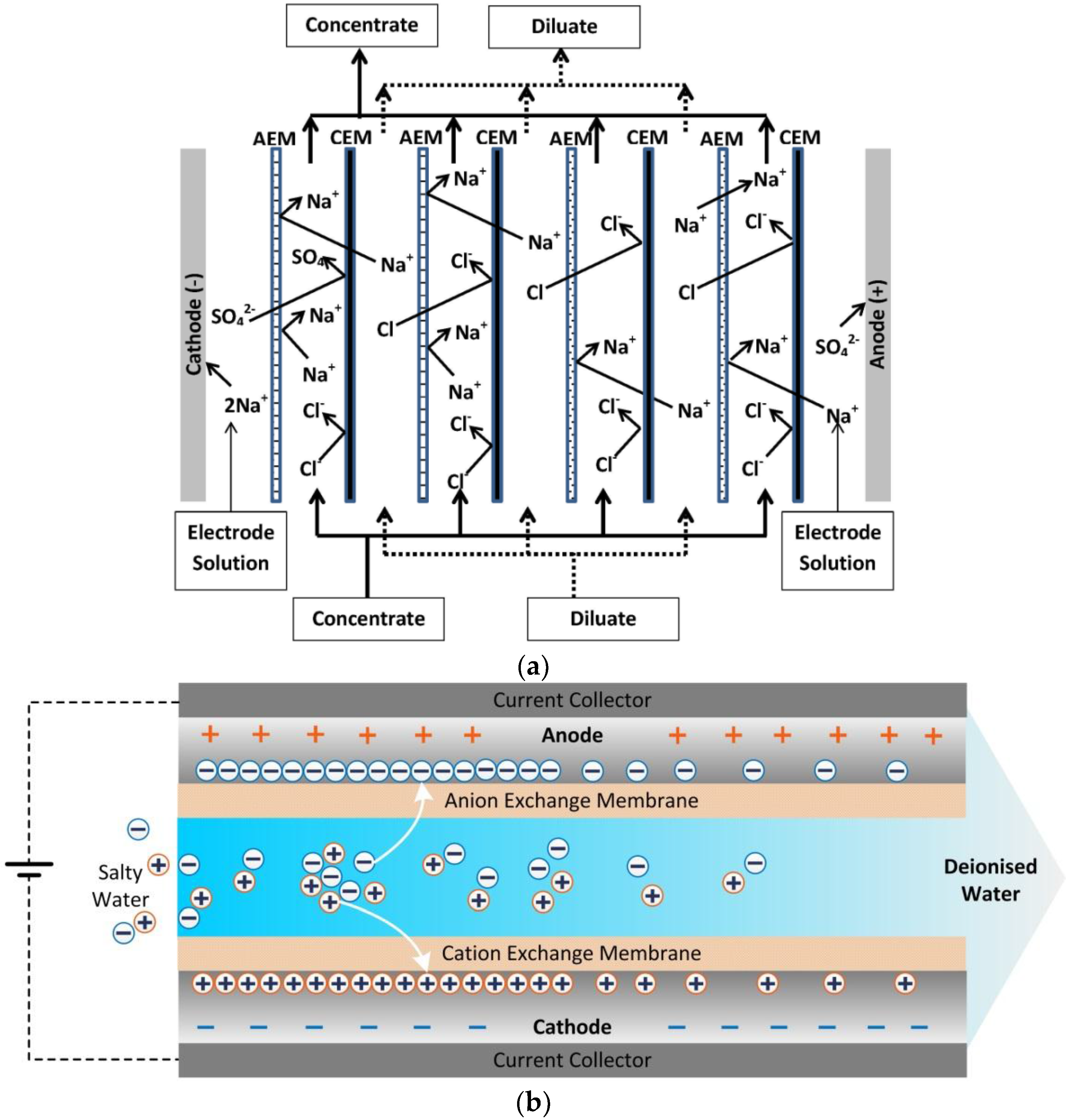 Membranes 07 00054 g001