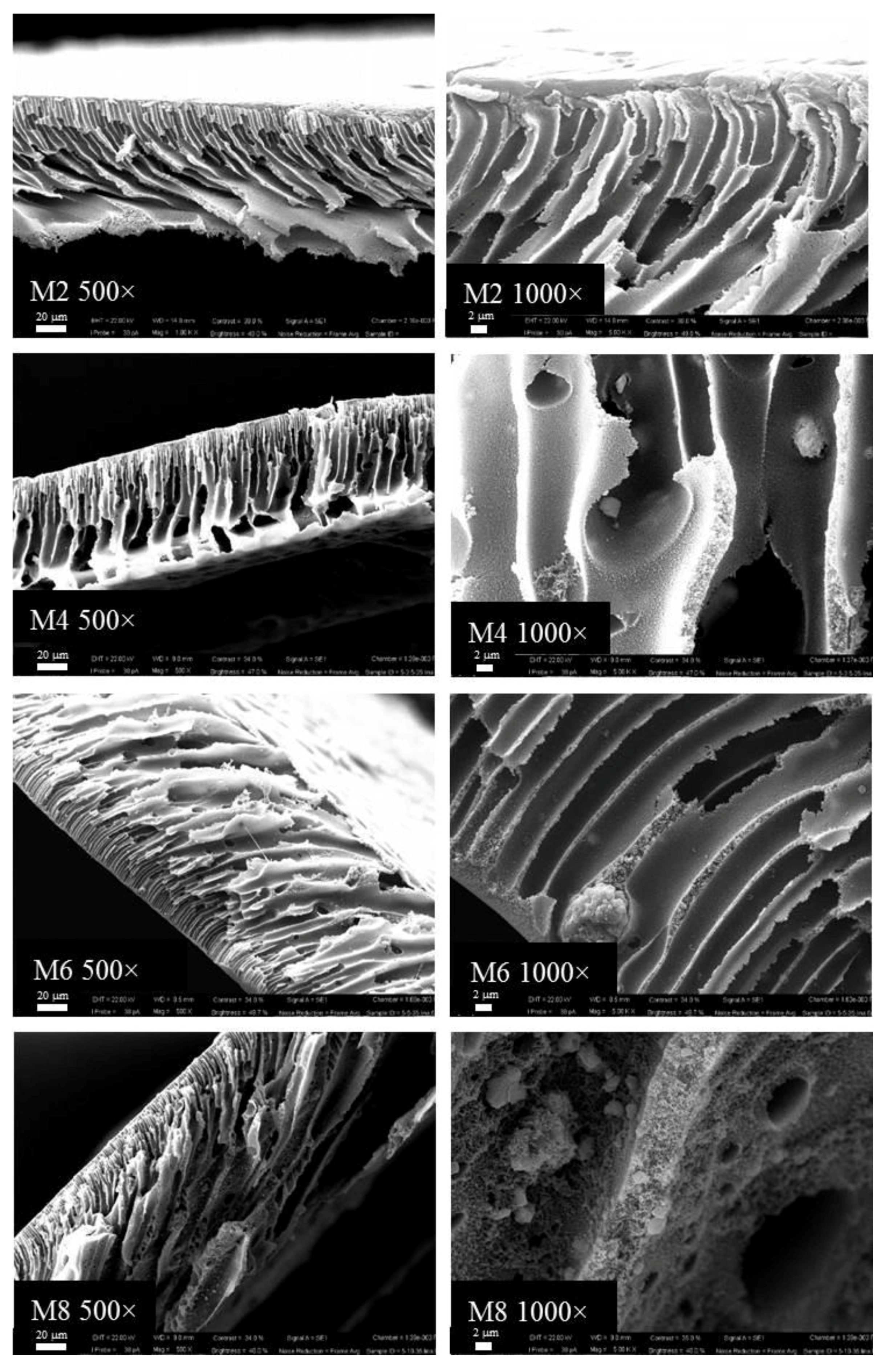 Membranes 07 00057 g003