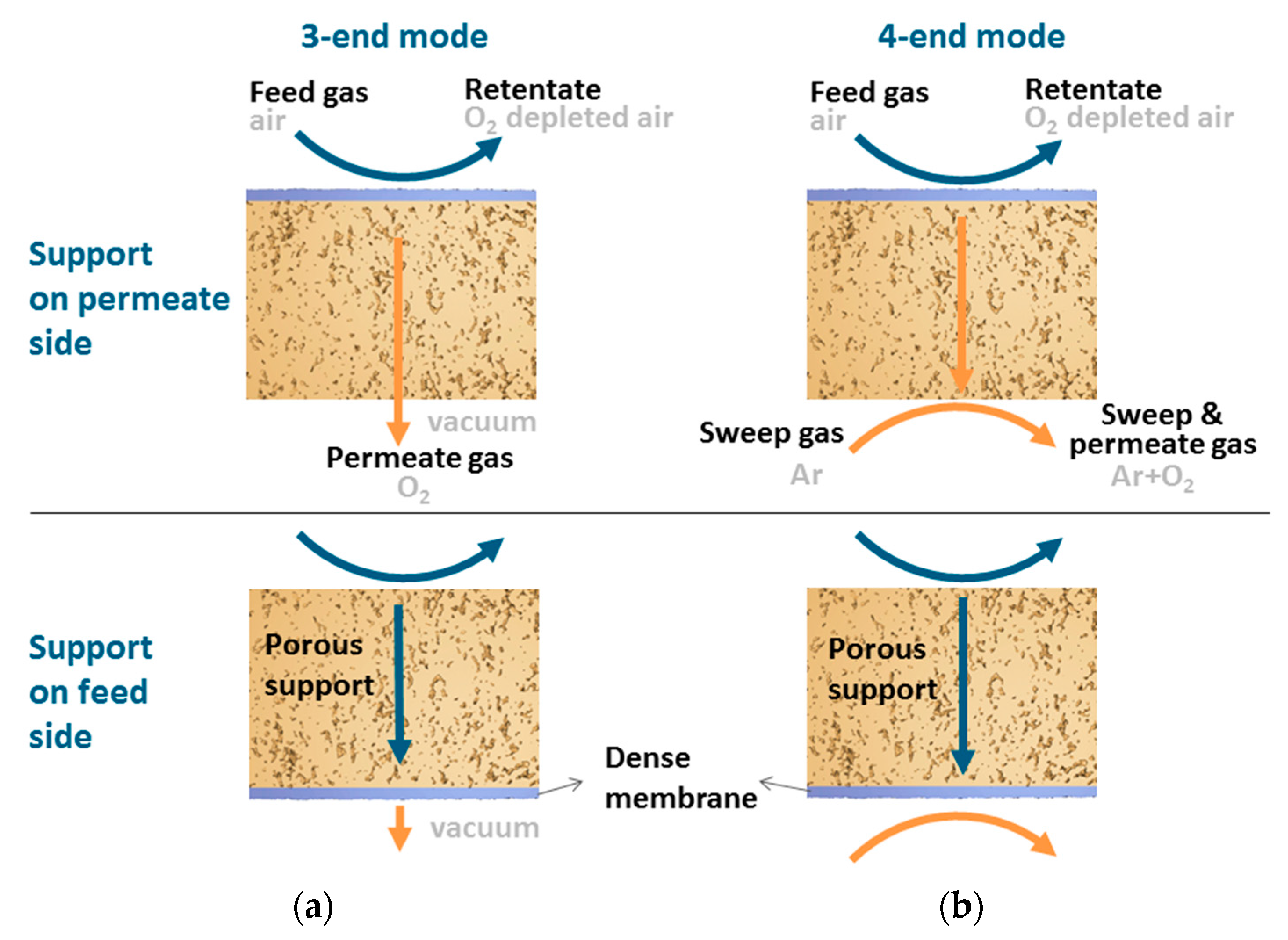 Membranes 07 00058 g001