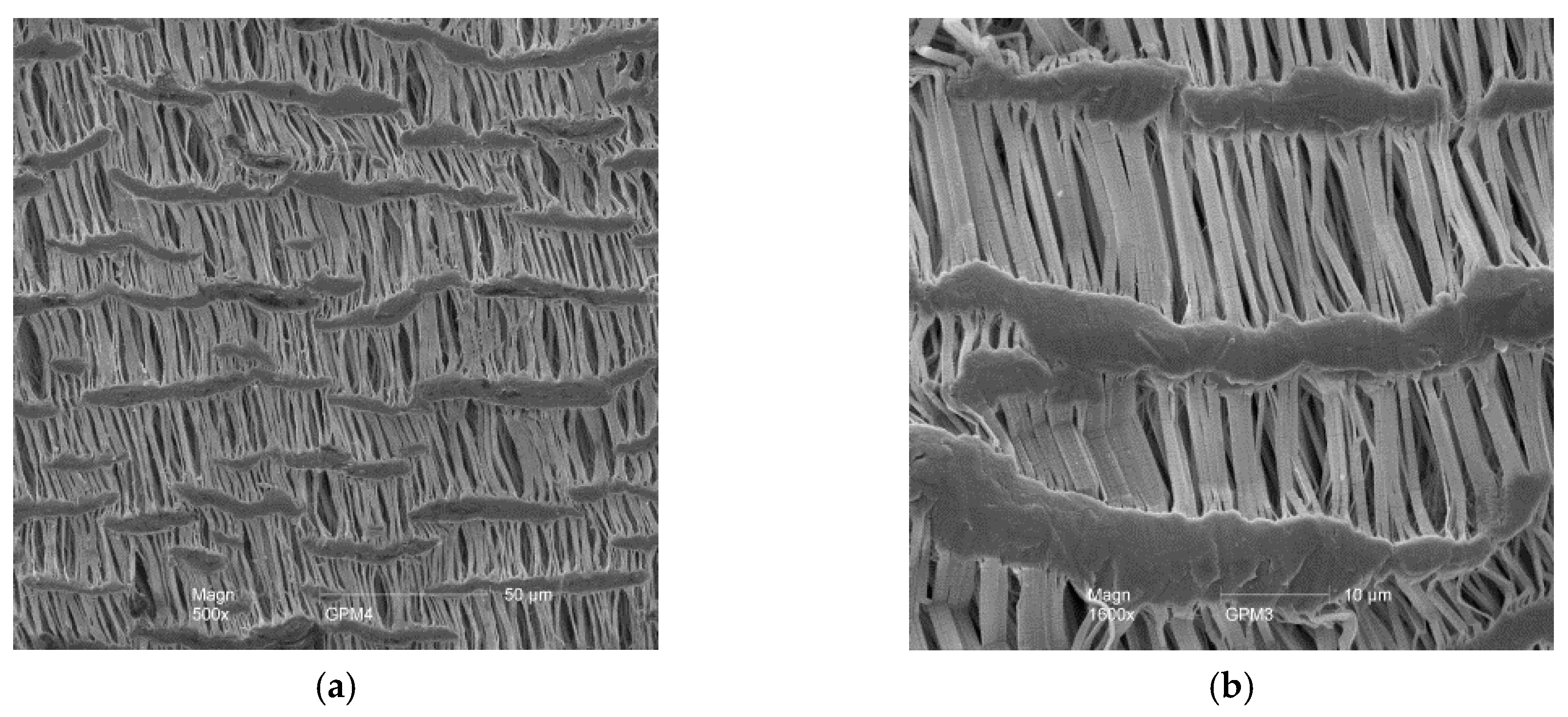 Membranes 07 00059 g005