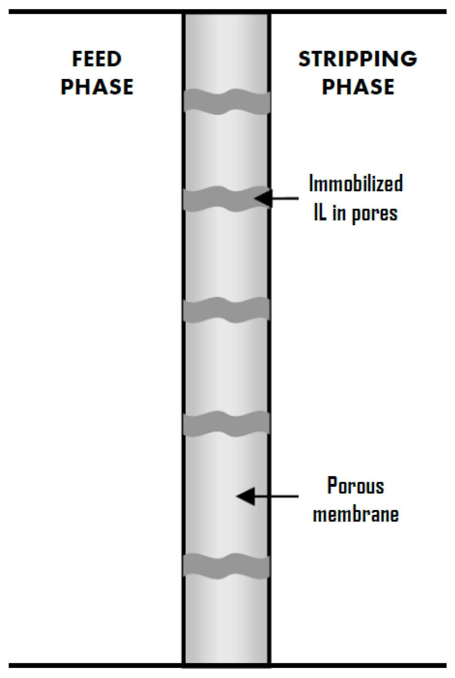 Membranes 07 00063 g001