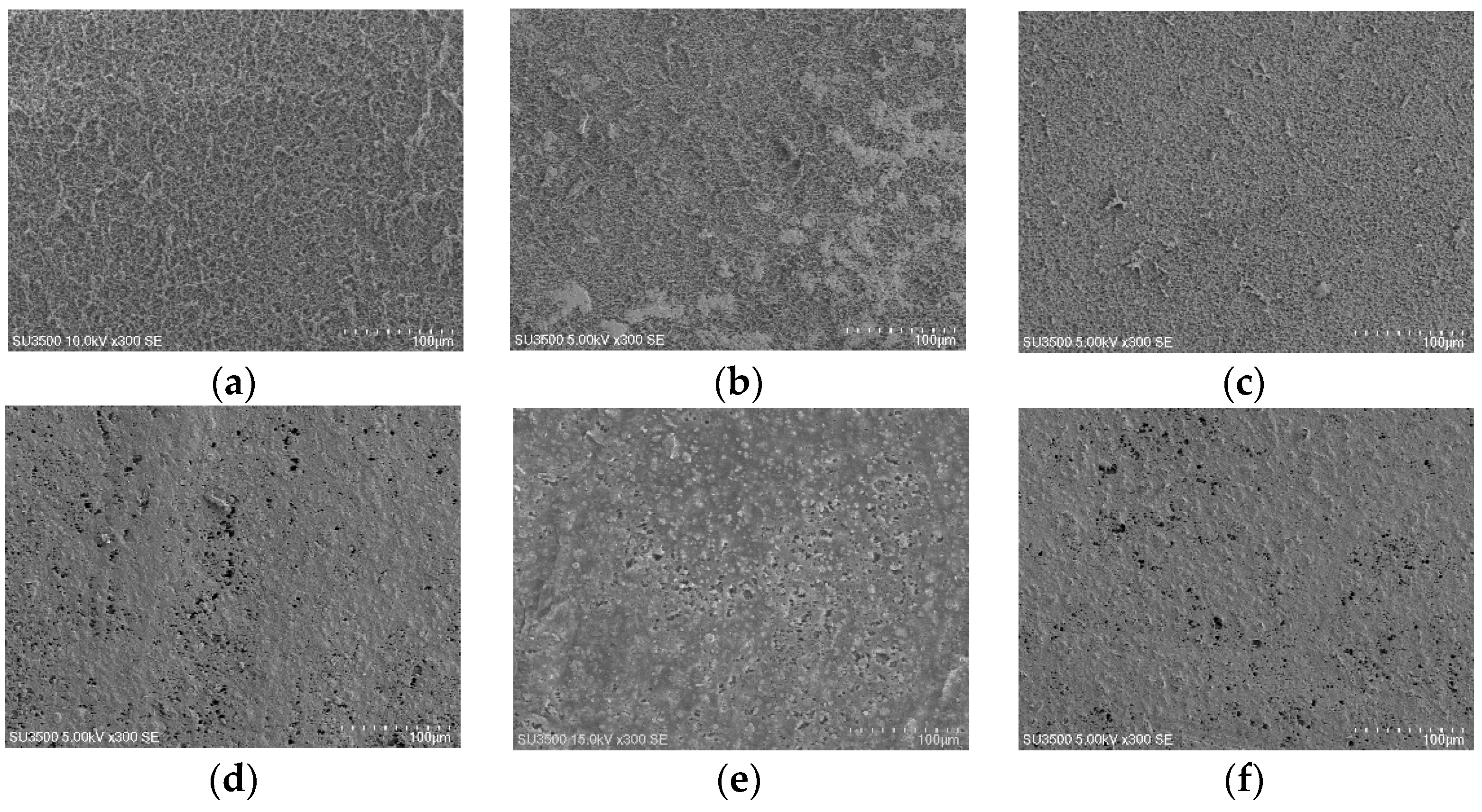 Membranes 07 00064 g002