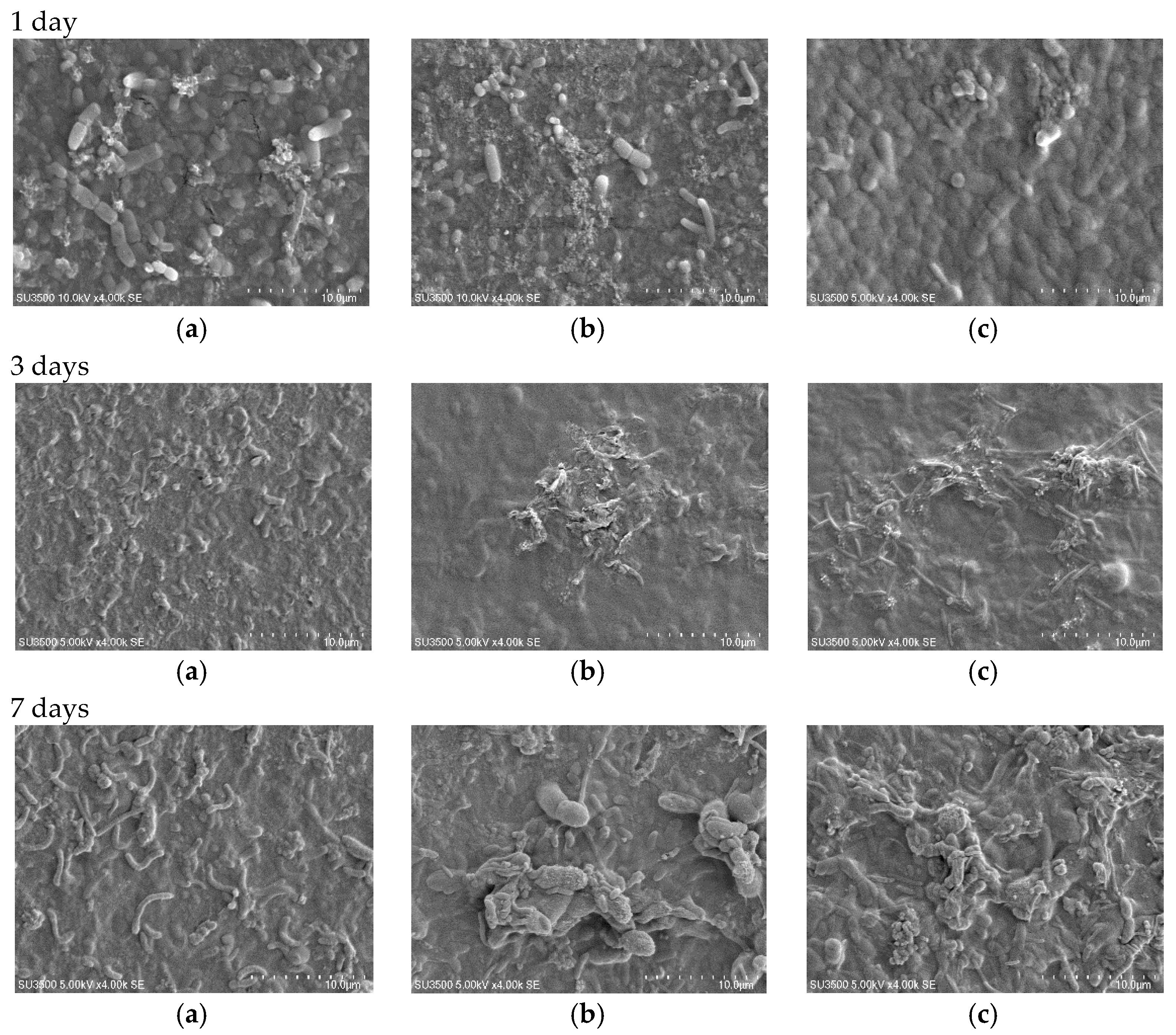 Membranes 07 00064 g009