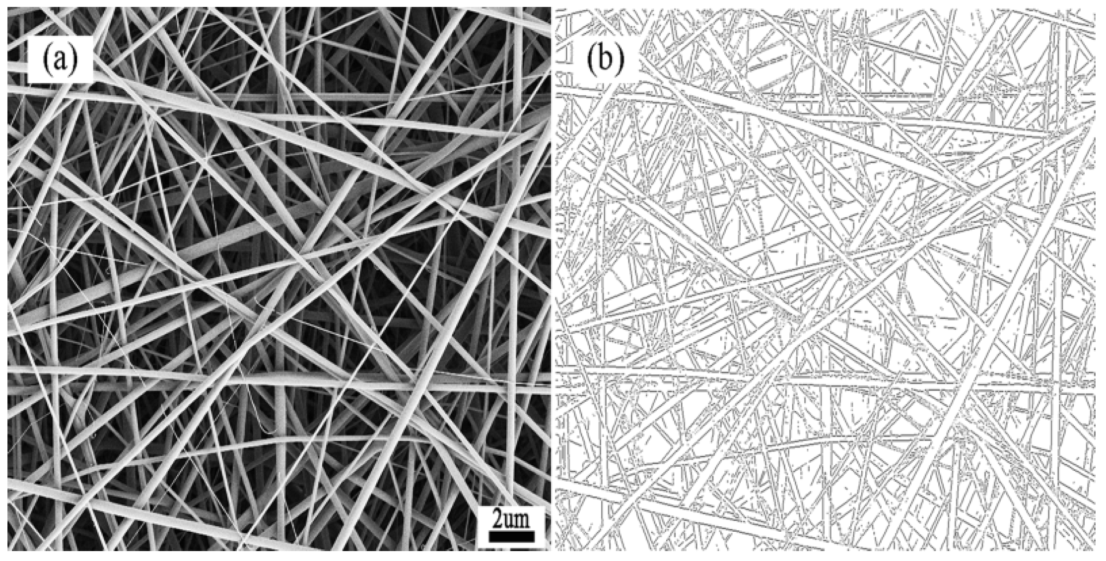 Membranes 07 00067 g001