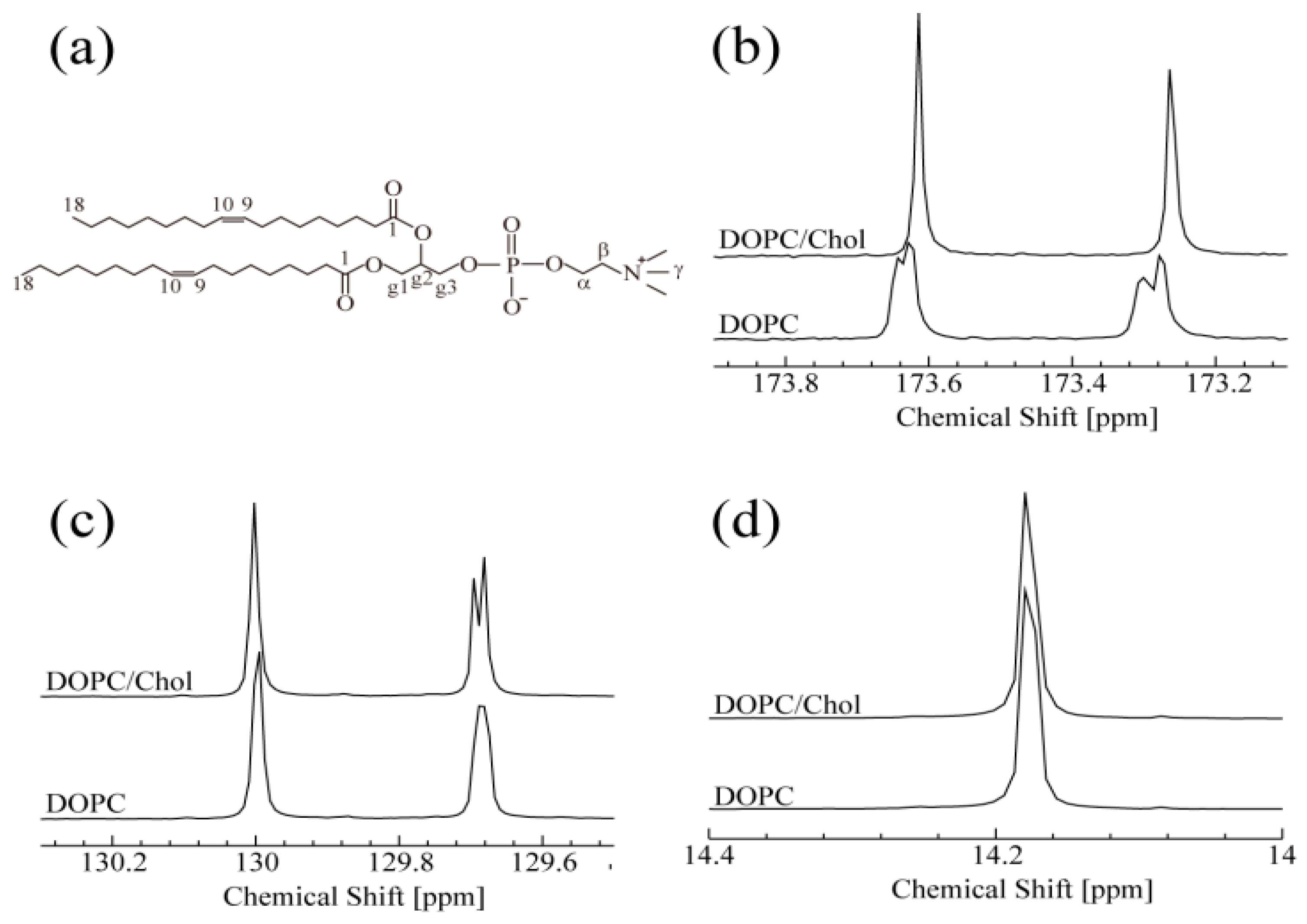 Membranes 07 00069 g001