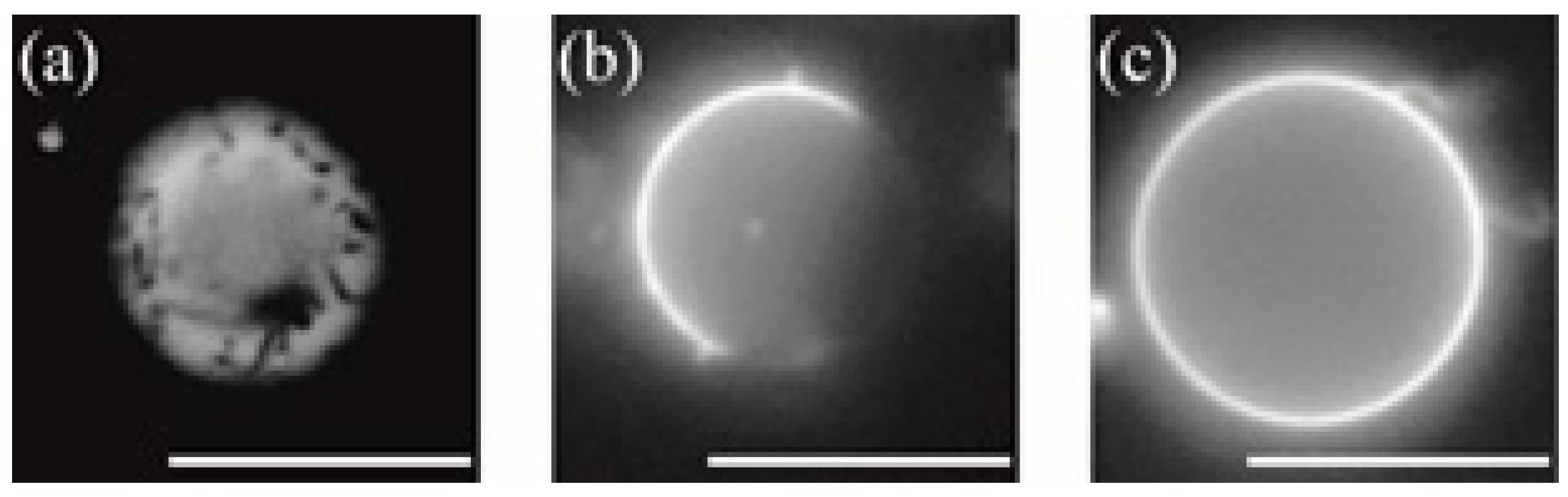 Membranes 07 00069 g003